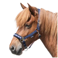 Loesdau Halfter<Horse-friends Island-Halfter Keflavik