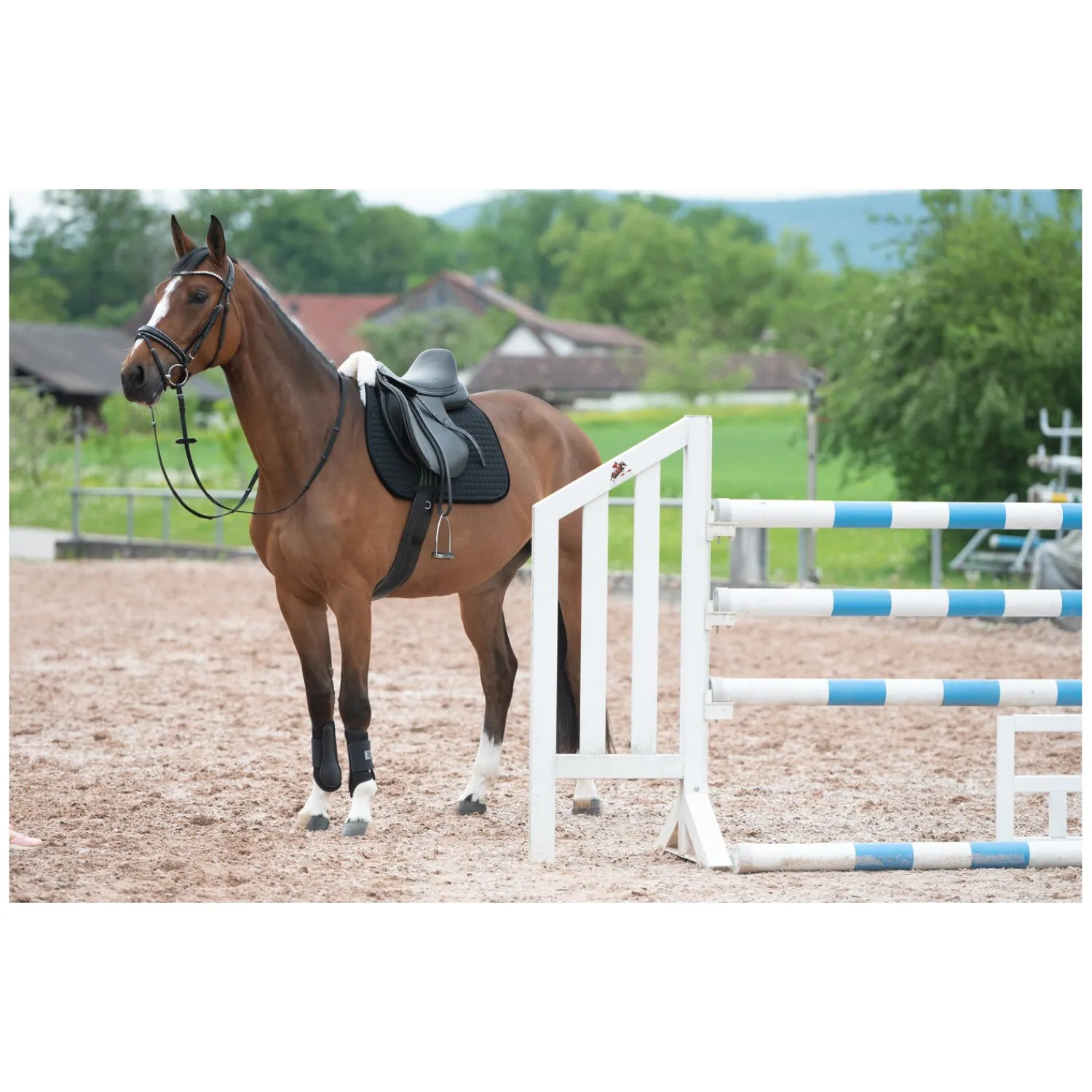 Loesdau Sättel & Zubehör|Schabracken<Horse-friends Lammfell-Schabracke Mesh