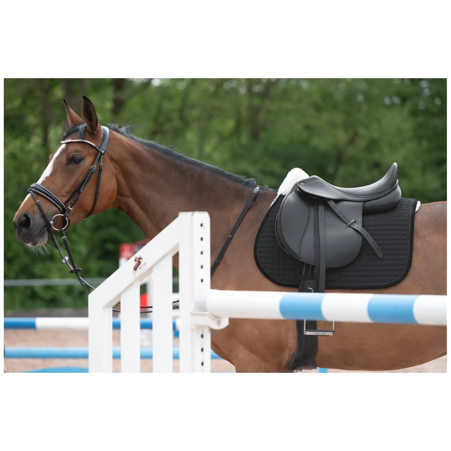 Loesdau Sättel & Zubehör|Schabracken<Horse-friends Lammfell-Schabracke Mesh