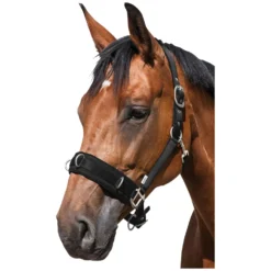 Horse-friends Kappzäume|Halfter<Longier- und Stallhalfter