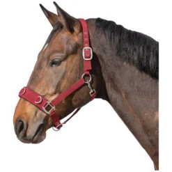 Horse-friends Kappzäume|Halfter<Longier- und Stallhalfter