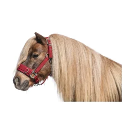 Horse-friends Kappzäume|Halfter<Longier- und Stallhalfter