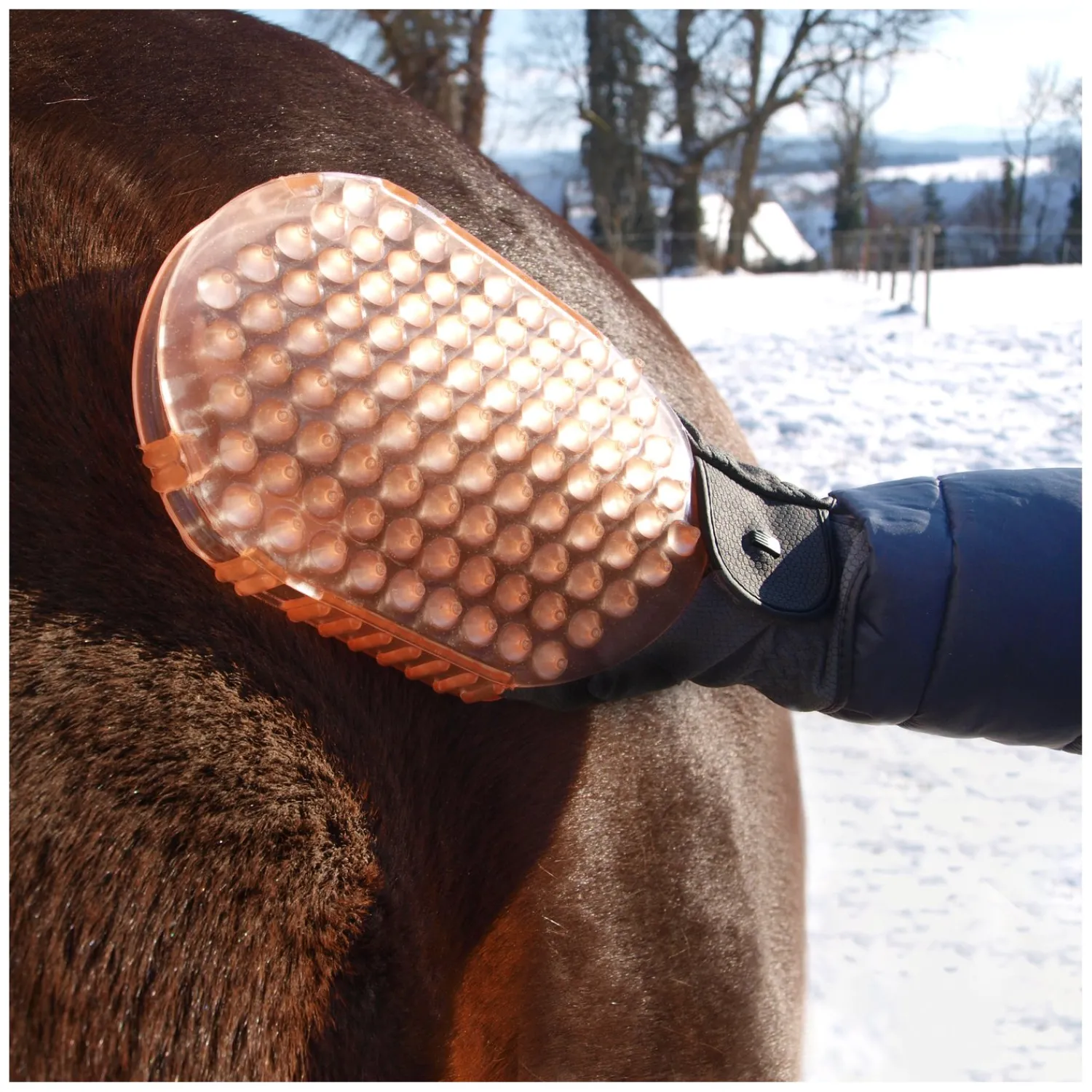 Loesdau Pferdeputzzeug|Therapie<Horse-friends Massage- und Putzhandschuh
