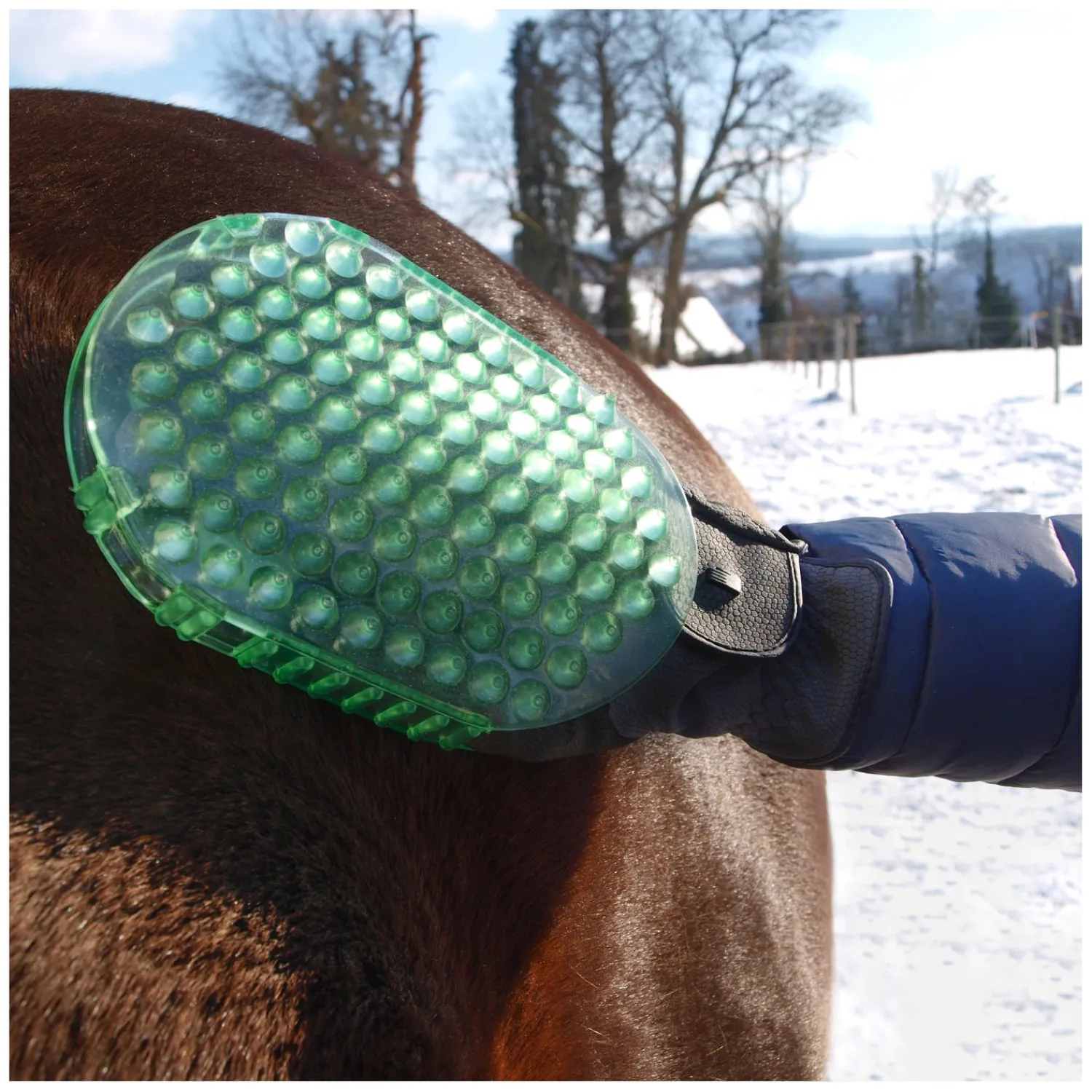 Loesdau Pferdeputzzeug|Therapie<Horse-friends Massage- und Putzhandschuh