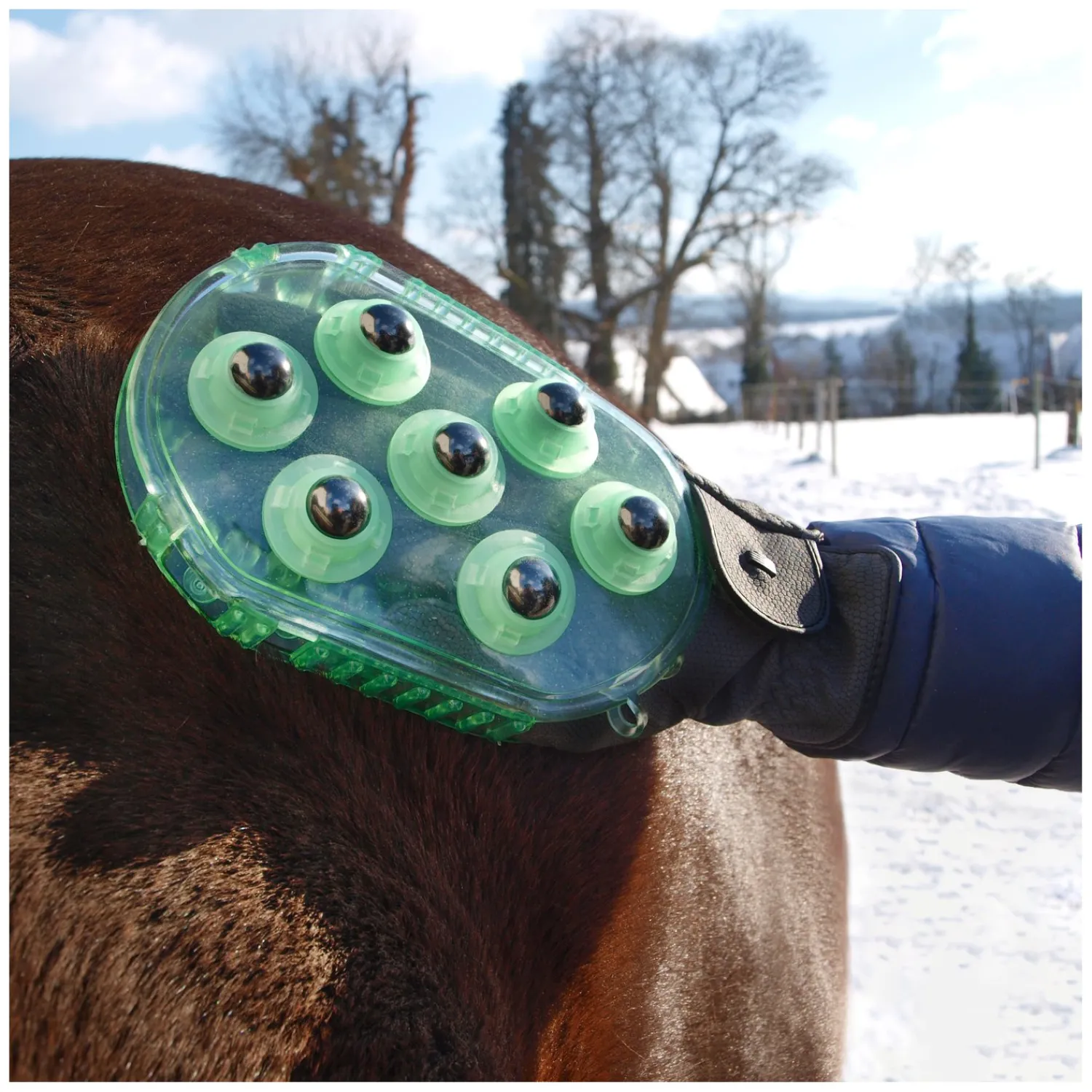 Loesdau Pferdeputzzeug|Therapie<Horse-friends Massage- und Putzhandschuh