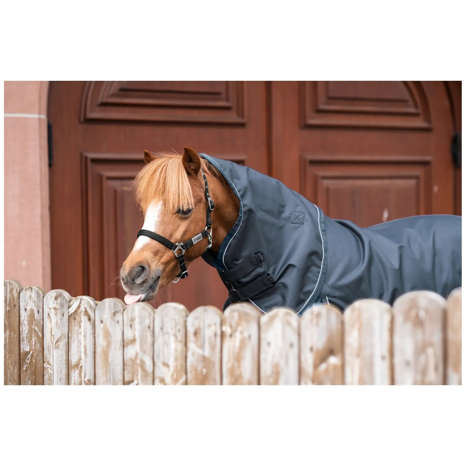 Horse-friends Pferdedecken<Outdoordecke