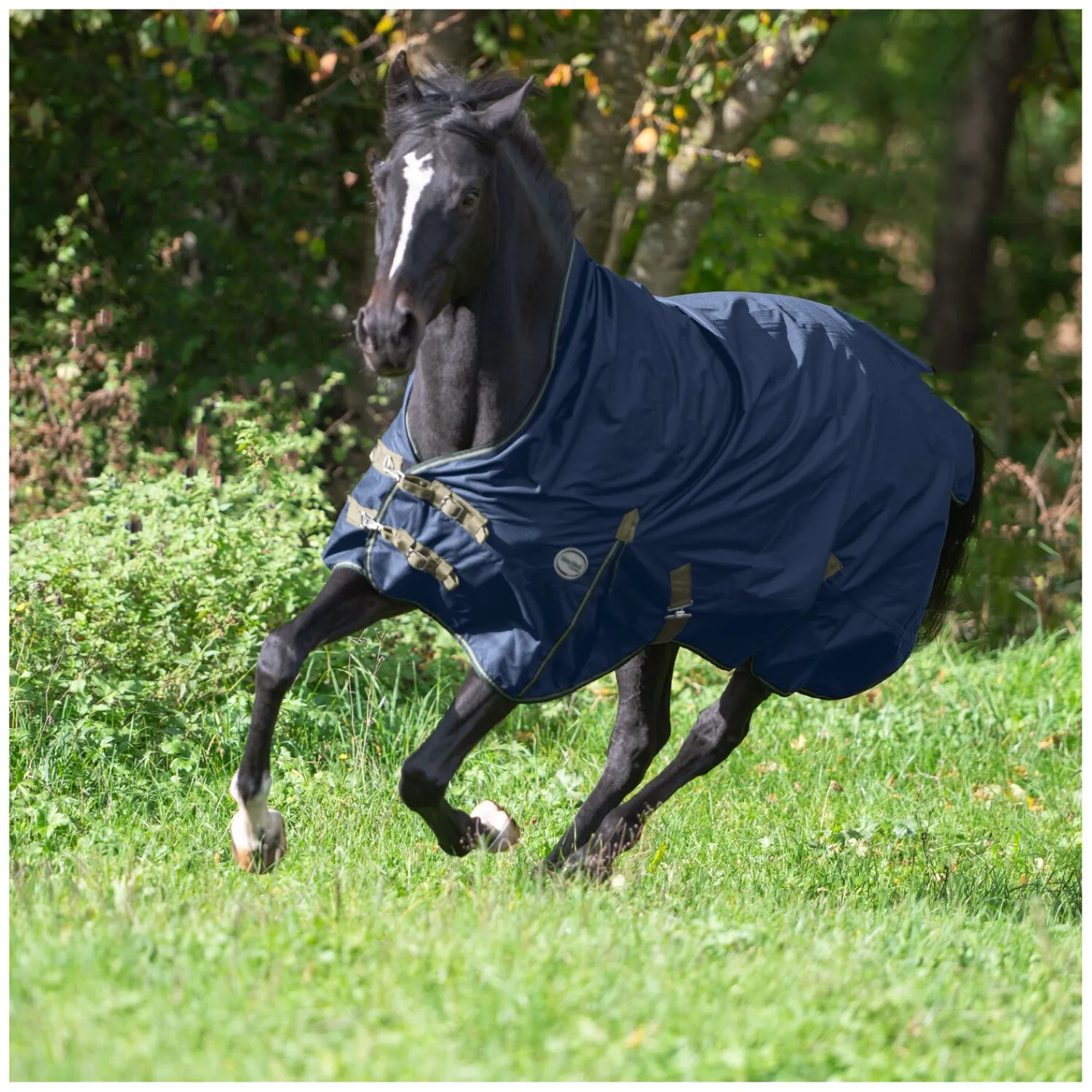 Horse-friends Pferdedecken<Outdoordecke Hamburg High Neck 0 g
