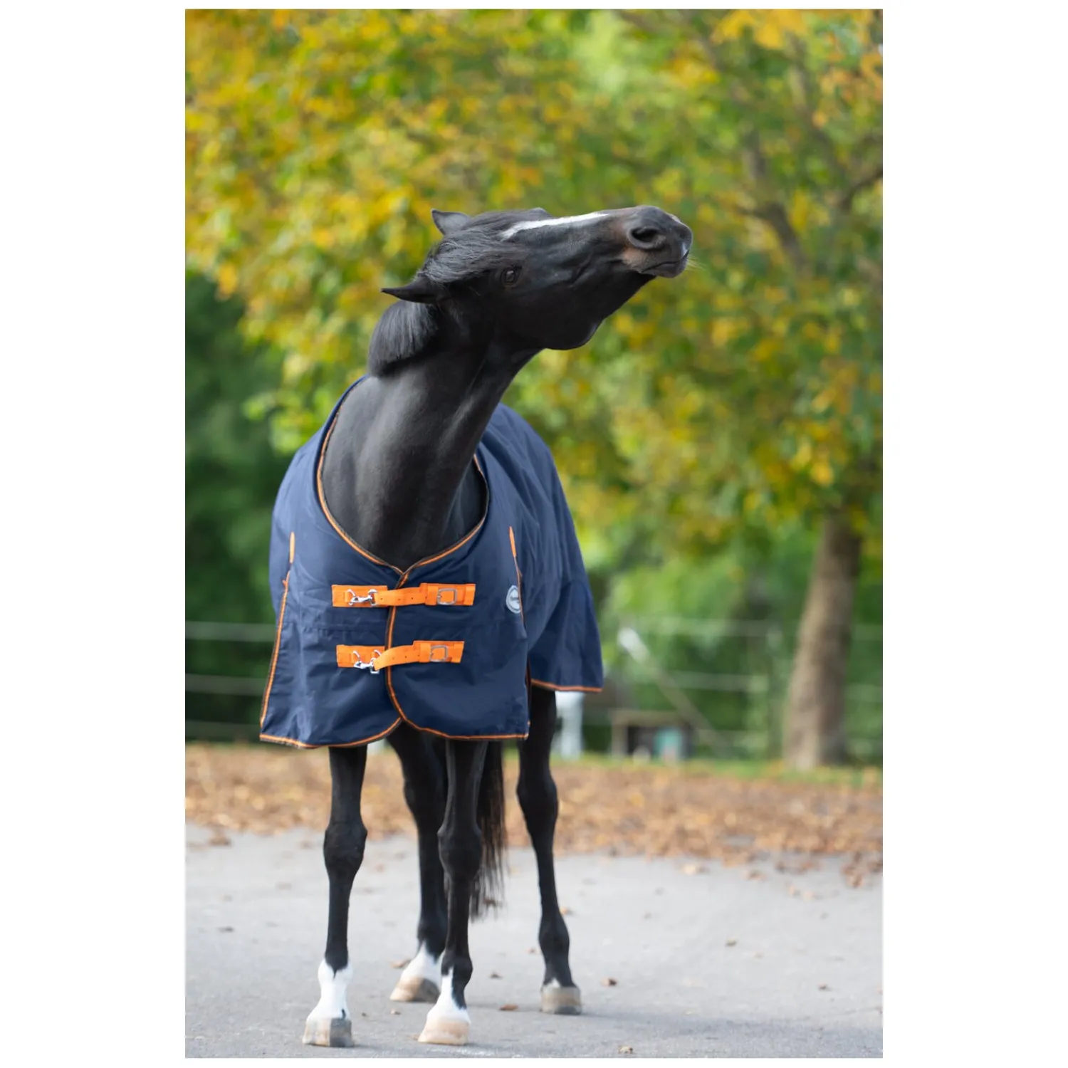 Loesdau Pferdedecken<Horse-friends Outdoordecke Hamburg 50 g