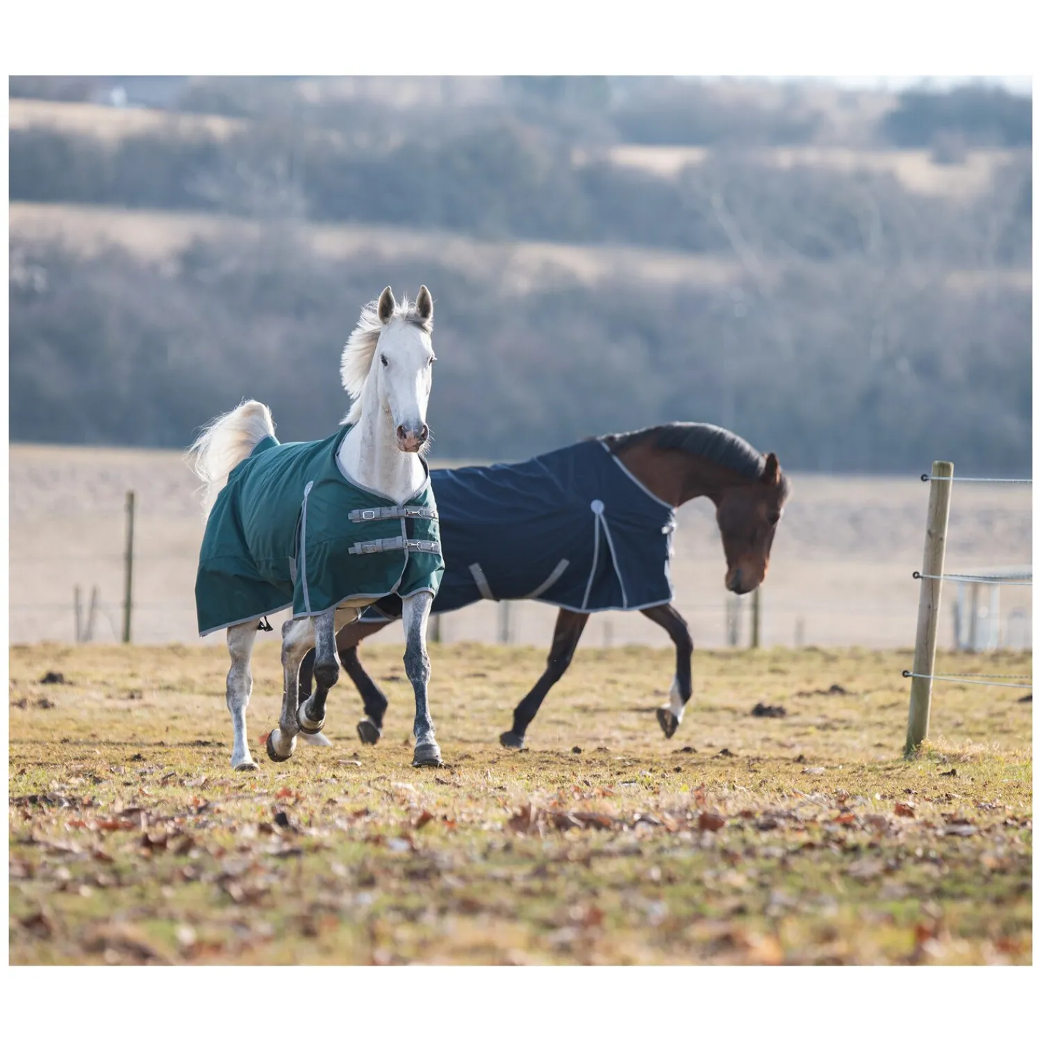 Horse-friends Pferdedecken<Outdoordecke Hamburg II 0g