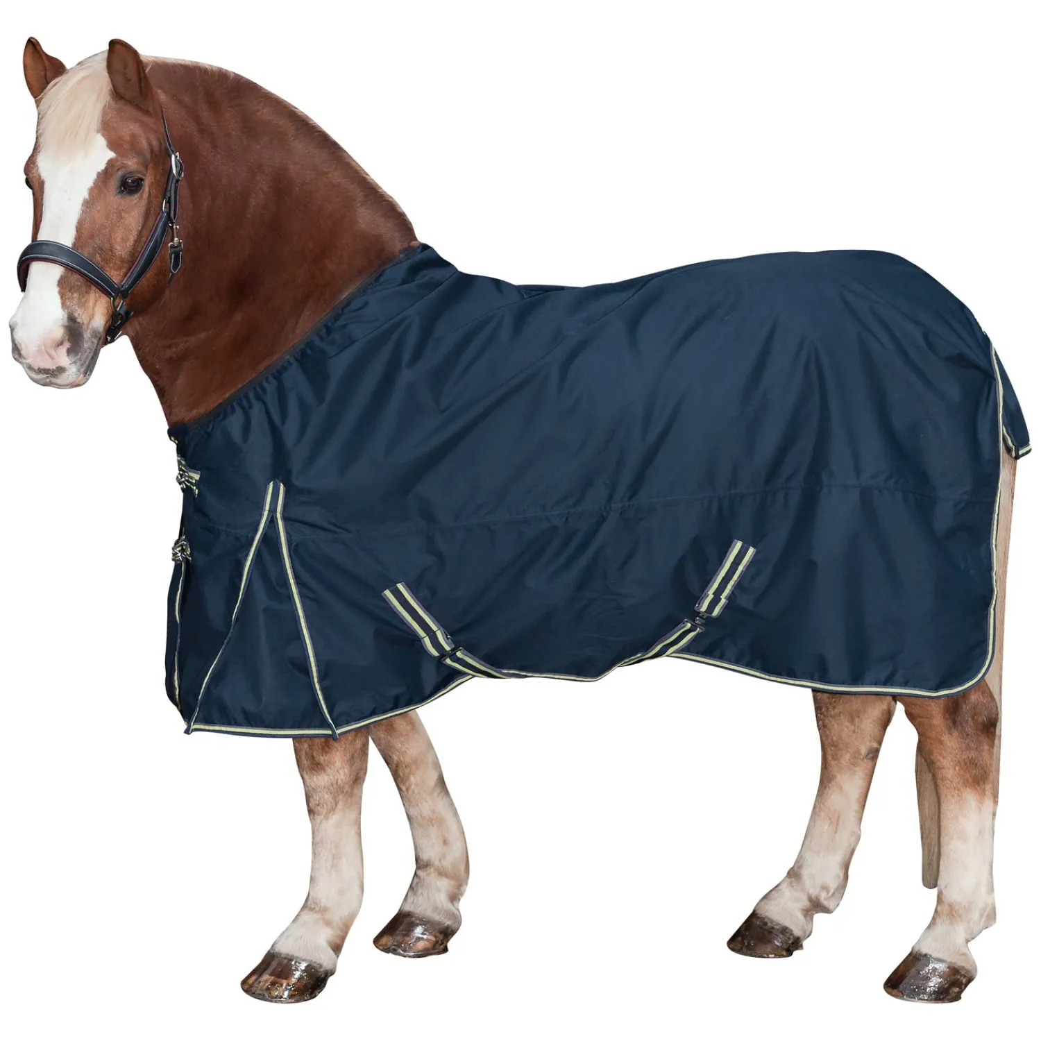 Horse-friends Pferdedecken<Outdoordecke XL