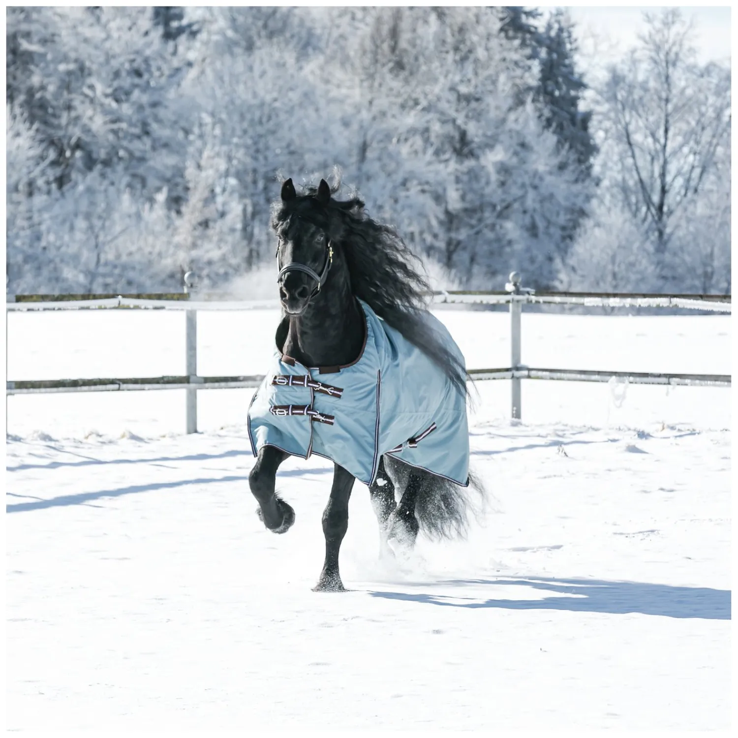 Horse-friends Pferdedecken<Outdoordecke XL 200