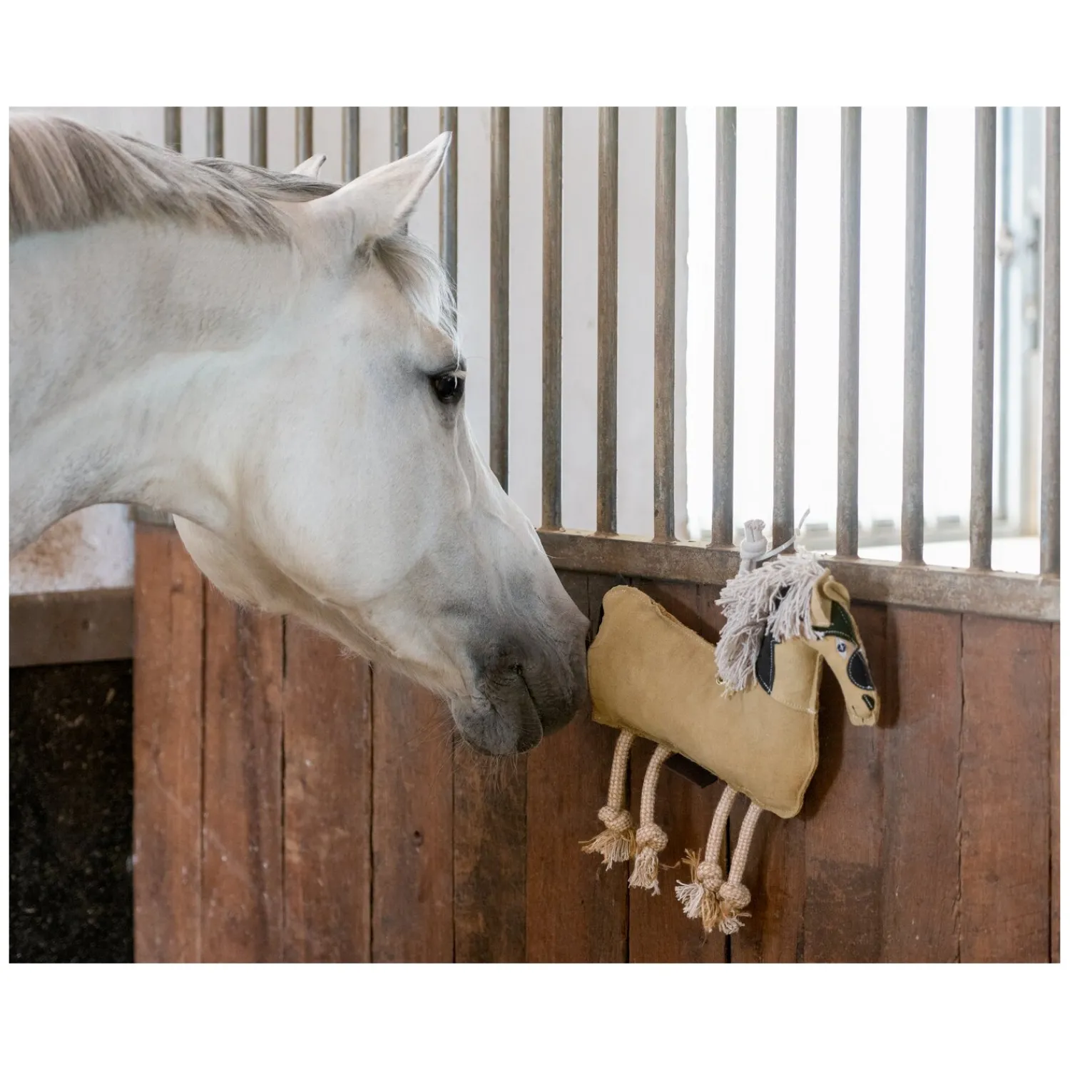 Loesdau Geschenke Für Reiter|Pferdespielzeug<Horse-friends espielzeug