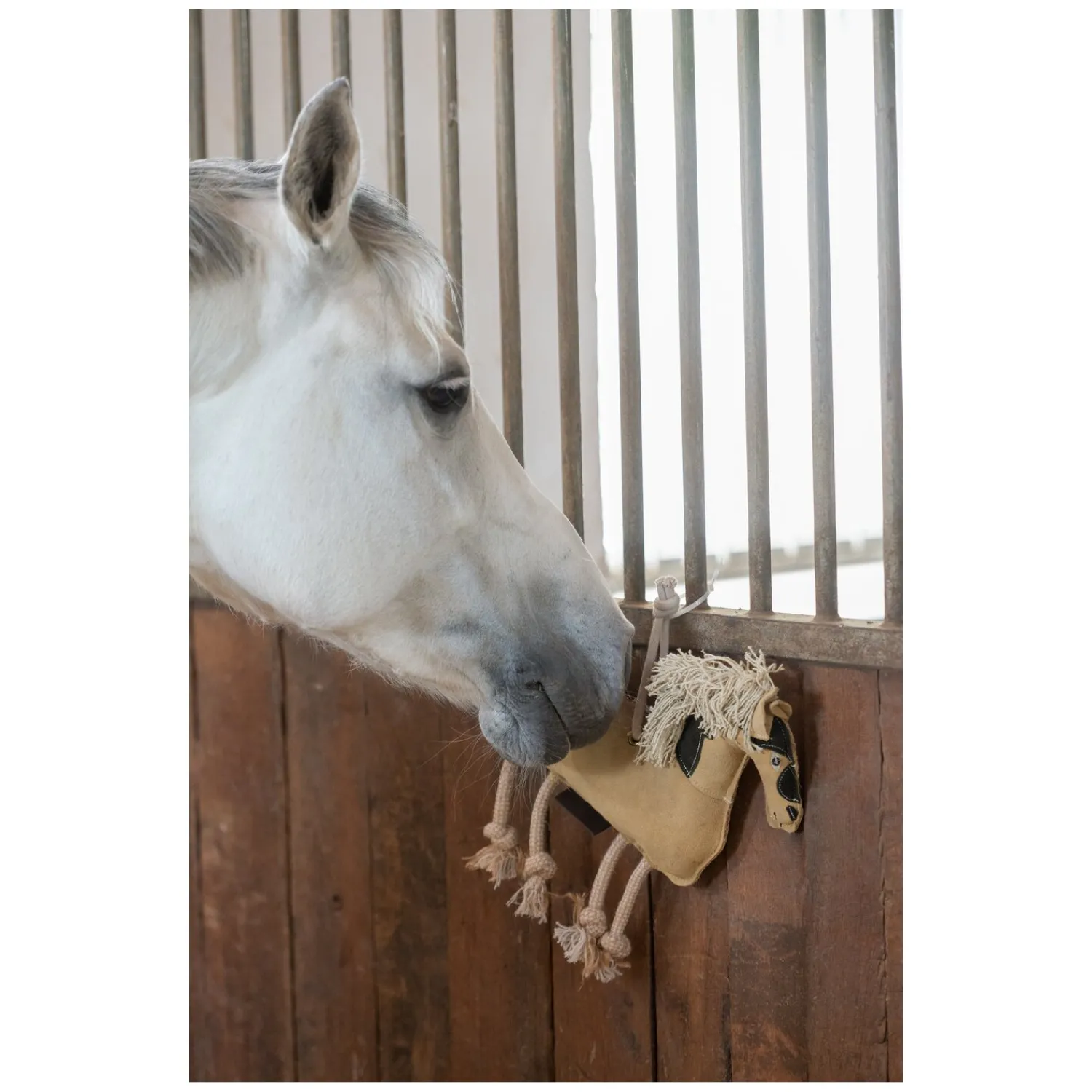 Loesdau Geschenke Für Reiter|Pferdespielzeug<Horse-friends espielzeug
