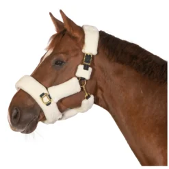 Horse-friends Geschenke Für Reiter|Halfter<Plüschhalfter Almada
