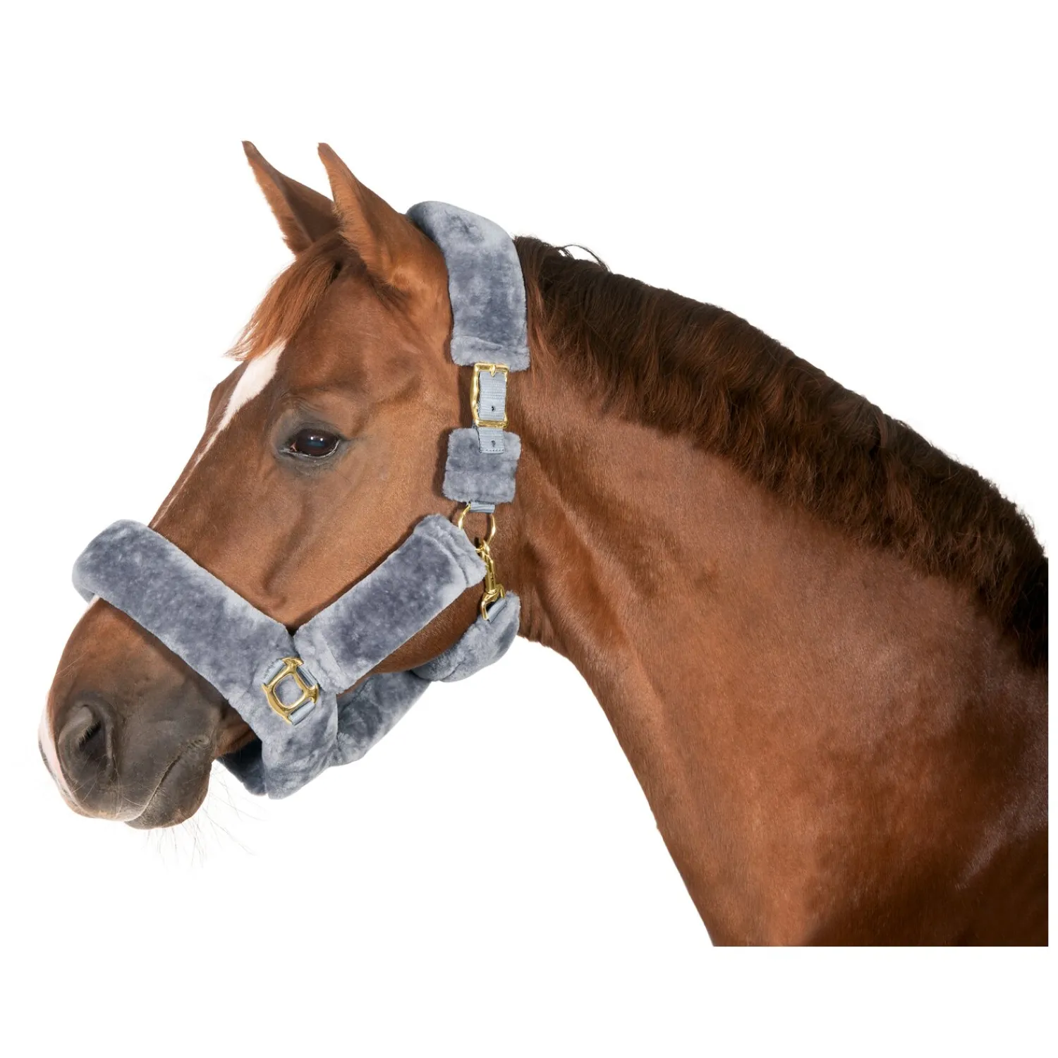 Horse-friends Geschenke Für Reiter|Halfter<Plüschhalfter Almada