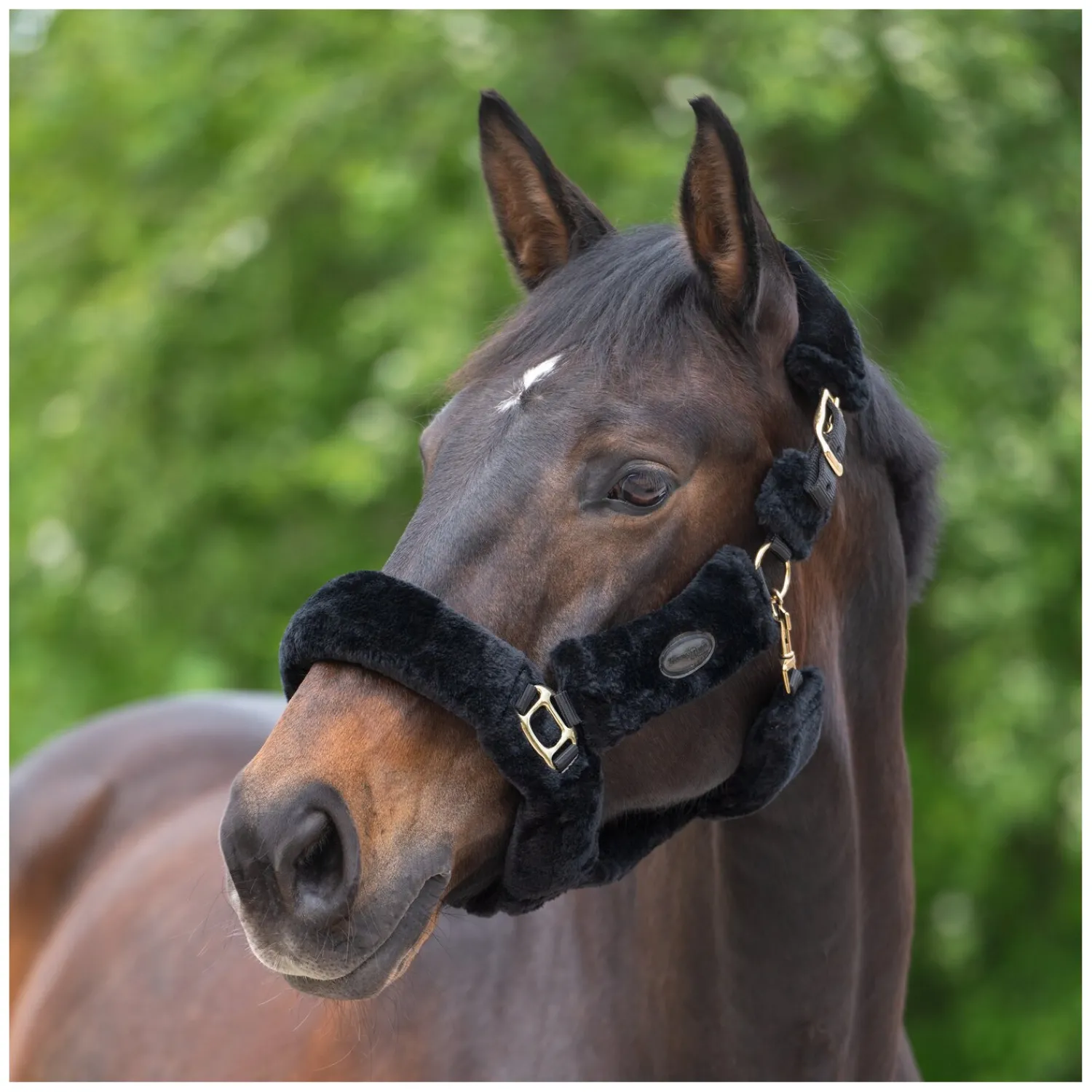 Horse-friends Geschenke Für Reiter|Halfter<Plüschhalfter Almada