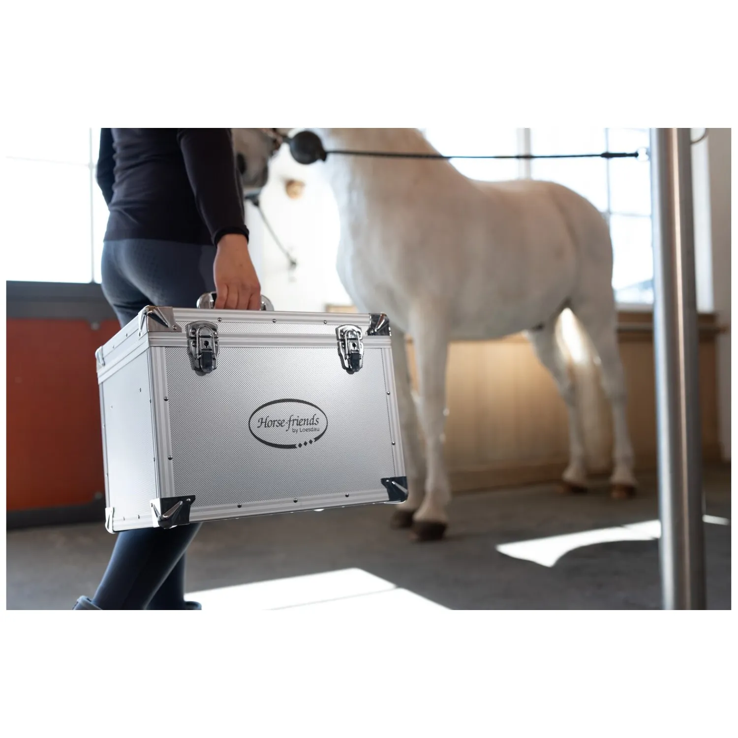 Loesdau Putzboxen<Horse-friends Putzbox