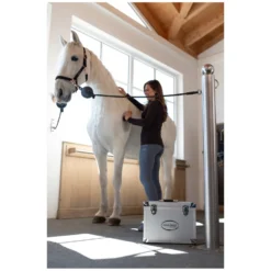 Loesdau Putzboxen<Horse-friends Putzbox