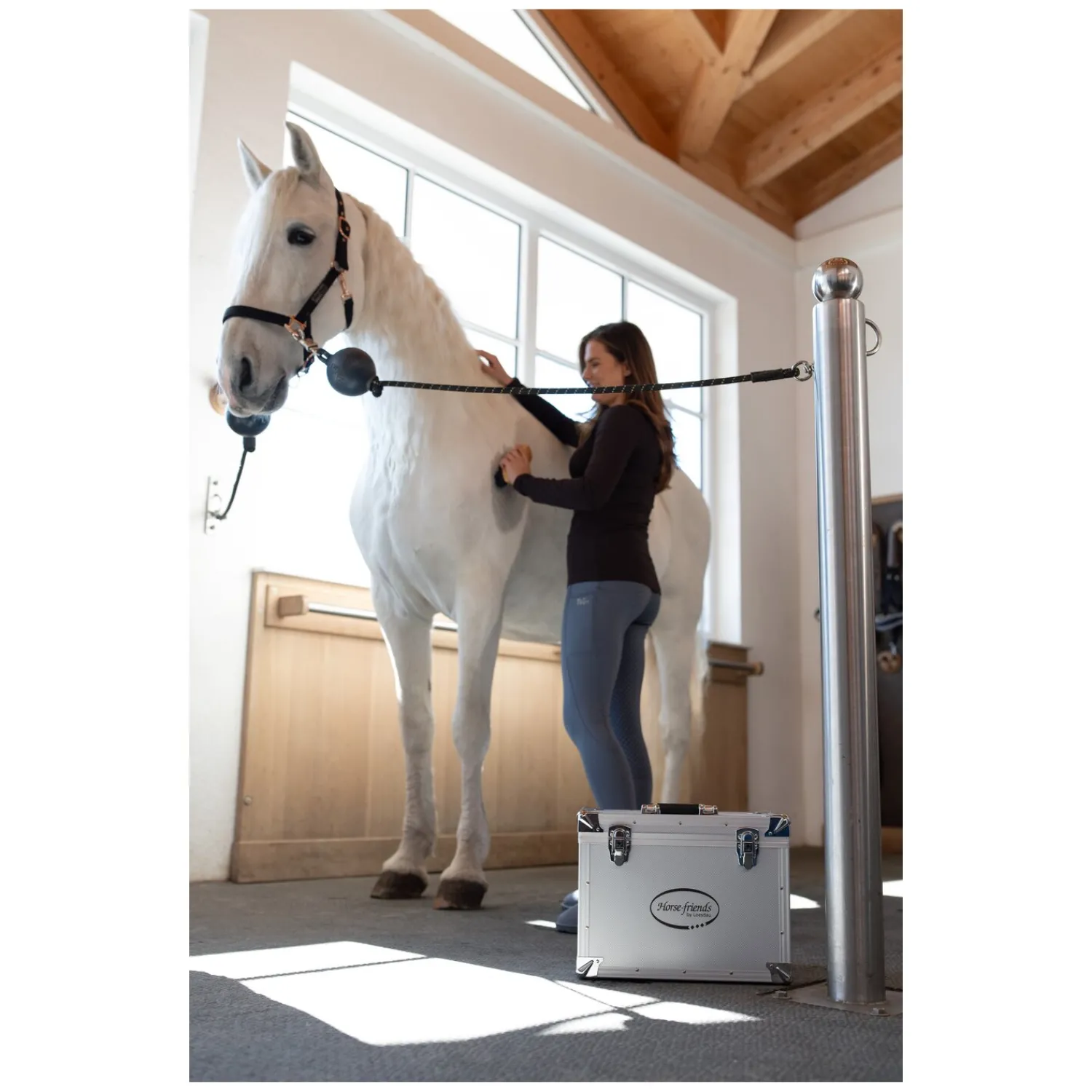 Loesdau Putzboxen<Horse-friends Putzbox