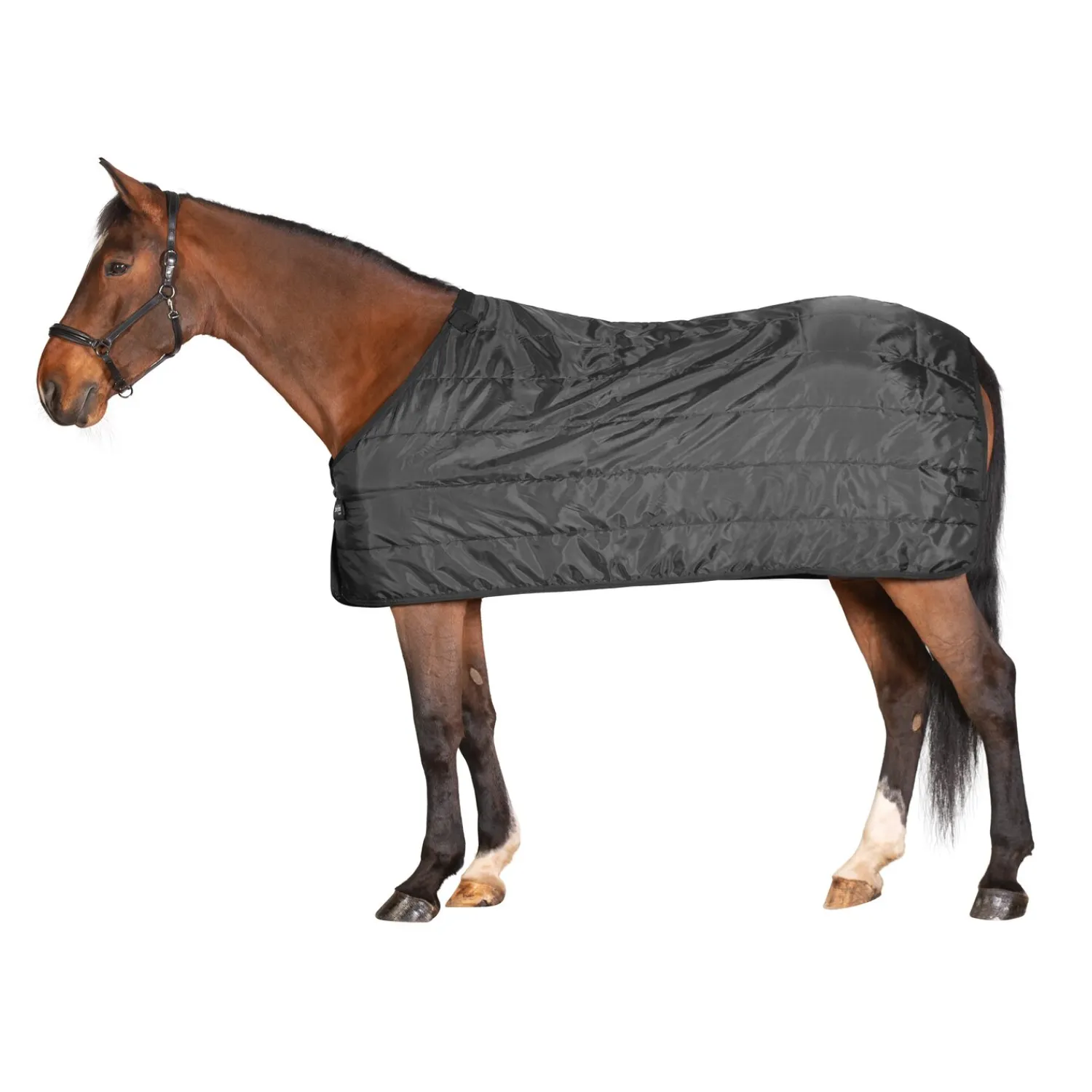Horse-friends Pferdedecken<Unterdecke Universal 200 g