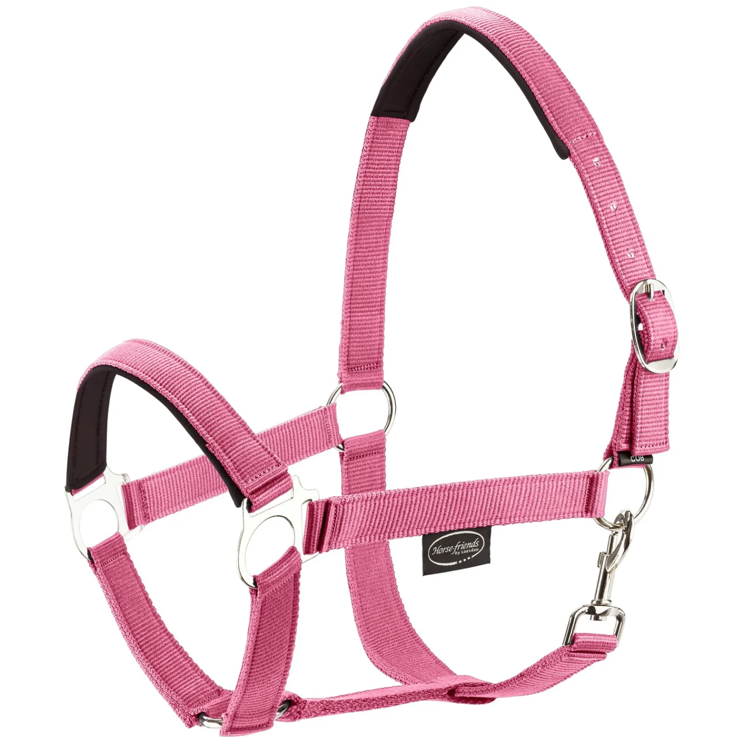 Horse-friends Halfter<Webhalfter Pin Buckle
