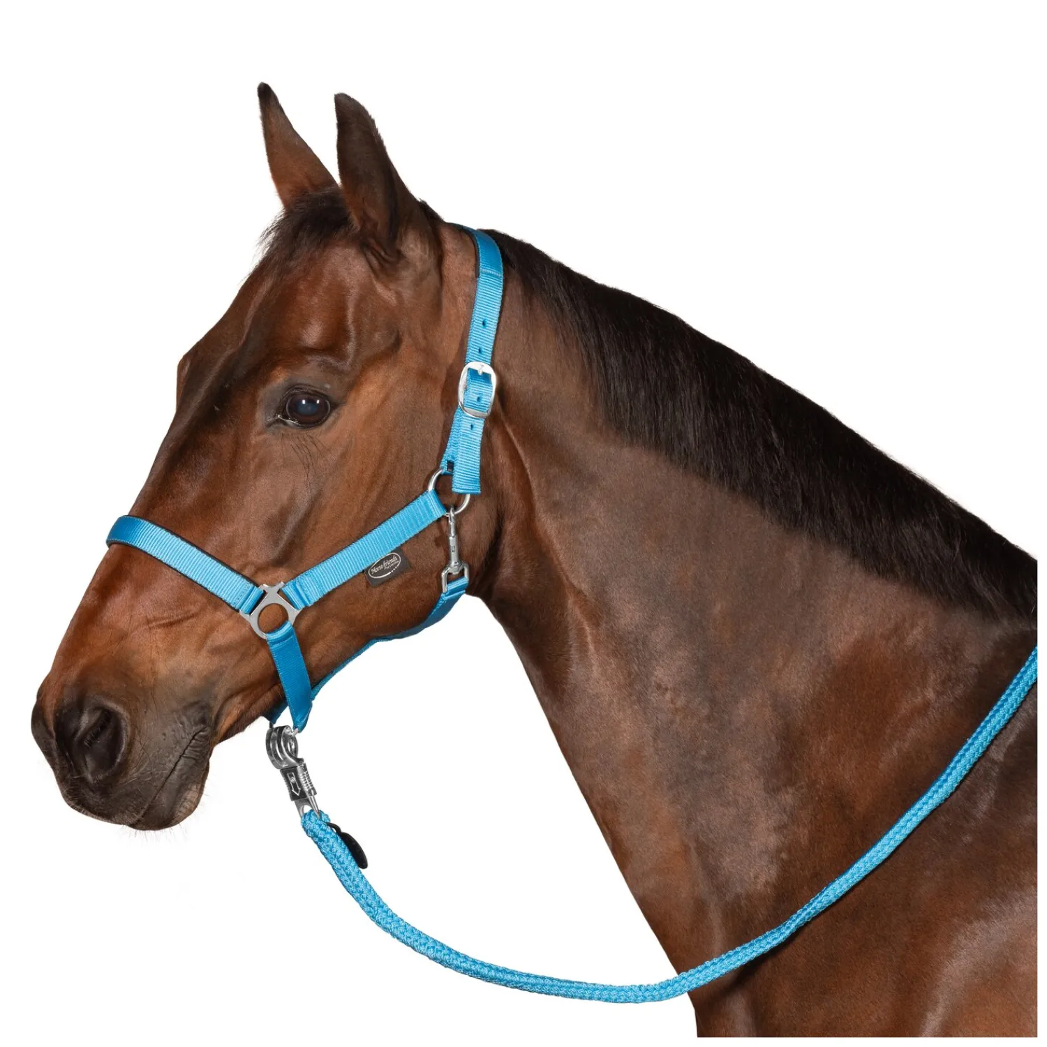 Horse-friends Halfter<Webhalfter Pin Buckle