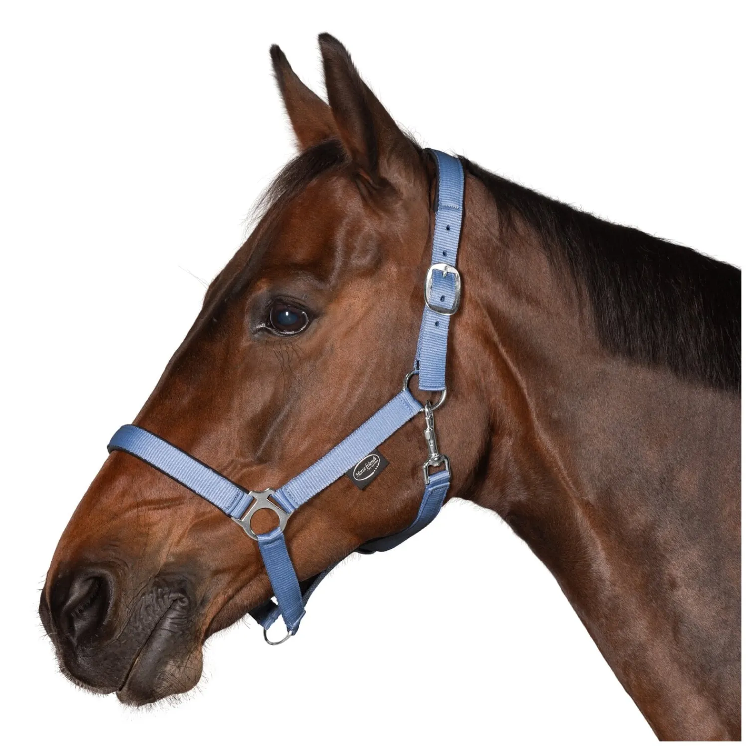 Horse-friends Halfter<Webhalfter Pin Buckle