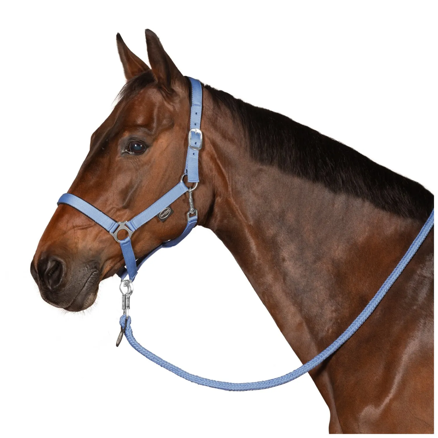 Horse-friends Halfter<Webhalfter Pin Buckle