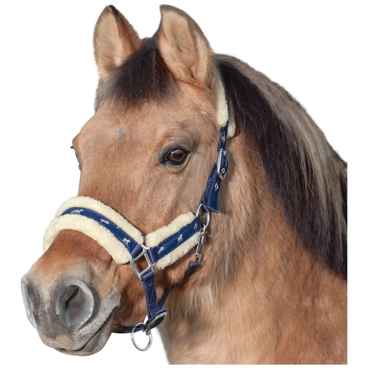 Horse-friends Halfter<Webhalfter Vigo mit Kunstfell