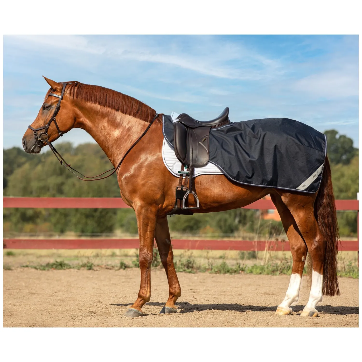 Loesdau Pferdedecken<HORSEWARE Ausreitdecke AMIGO Competition Sheet