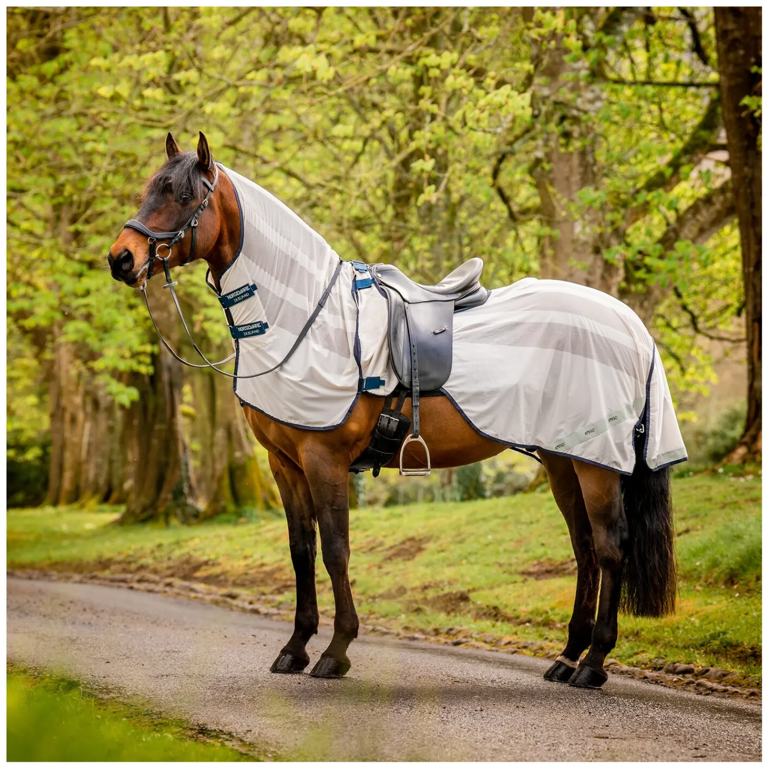 Horseware Fliegendecken|Pferdedecken<Fiegenaureitdecke AIGO Fyrider