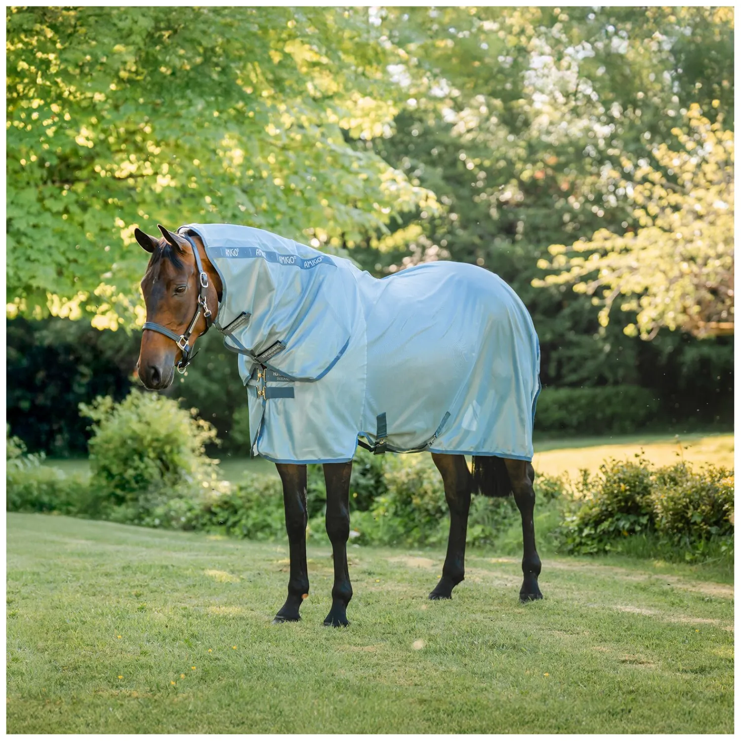 Horseware Fliegendecken|Pferdedecken<Fliegendecke AMIGO Integrated Fly Sheet