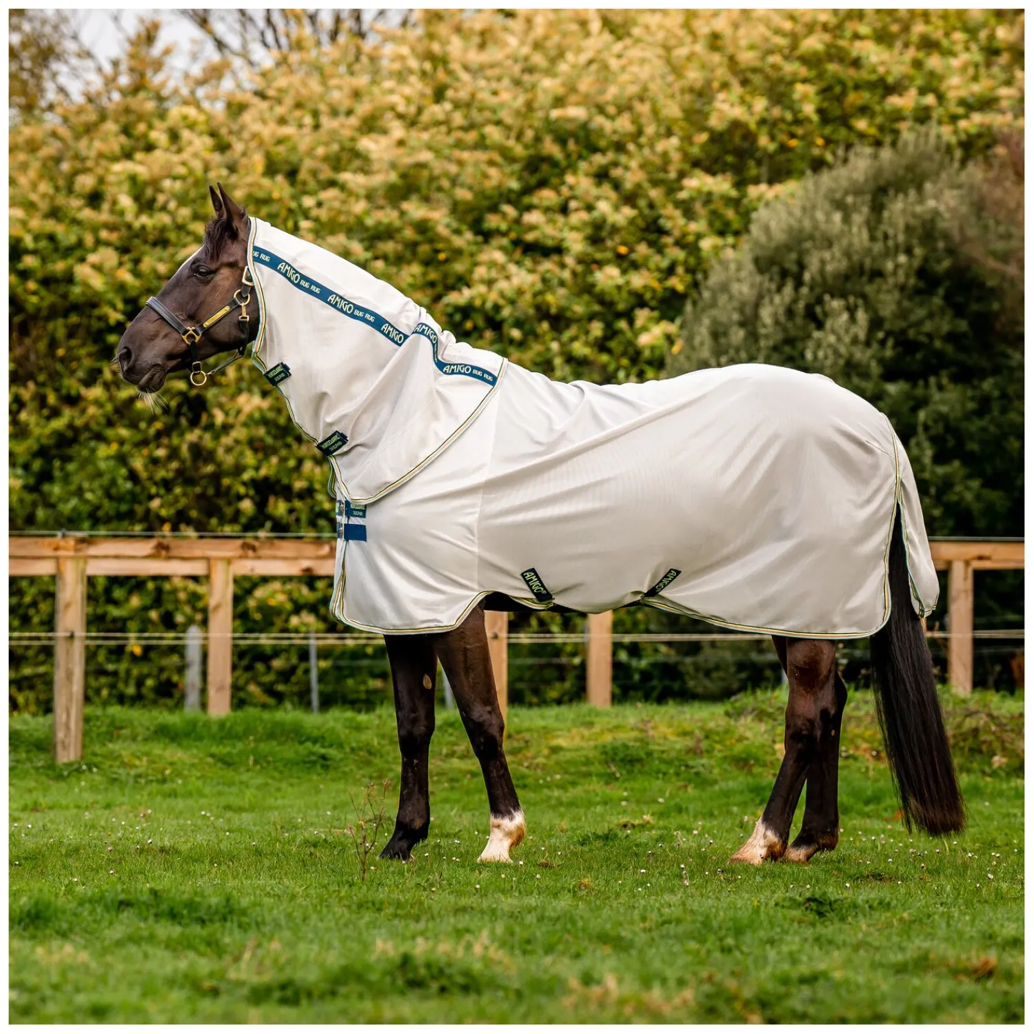 Horseware Fliegendecken|Pferdedecken<Fliegendecke AMIGO Bug Rug