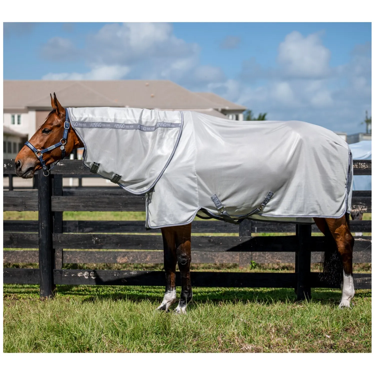 Horseware Fliegendecken|Pferdedecken<Fliegendecke AMIGO Bug Rug