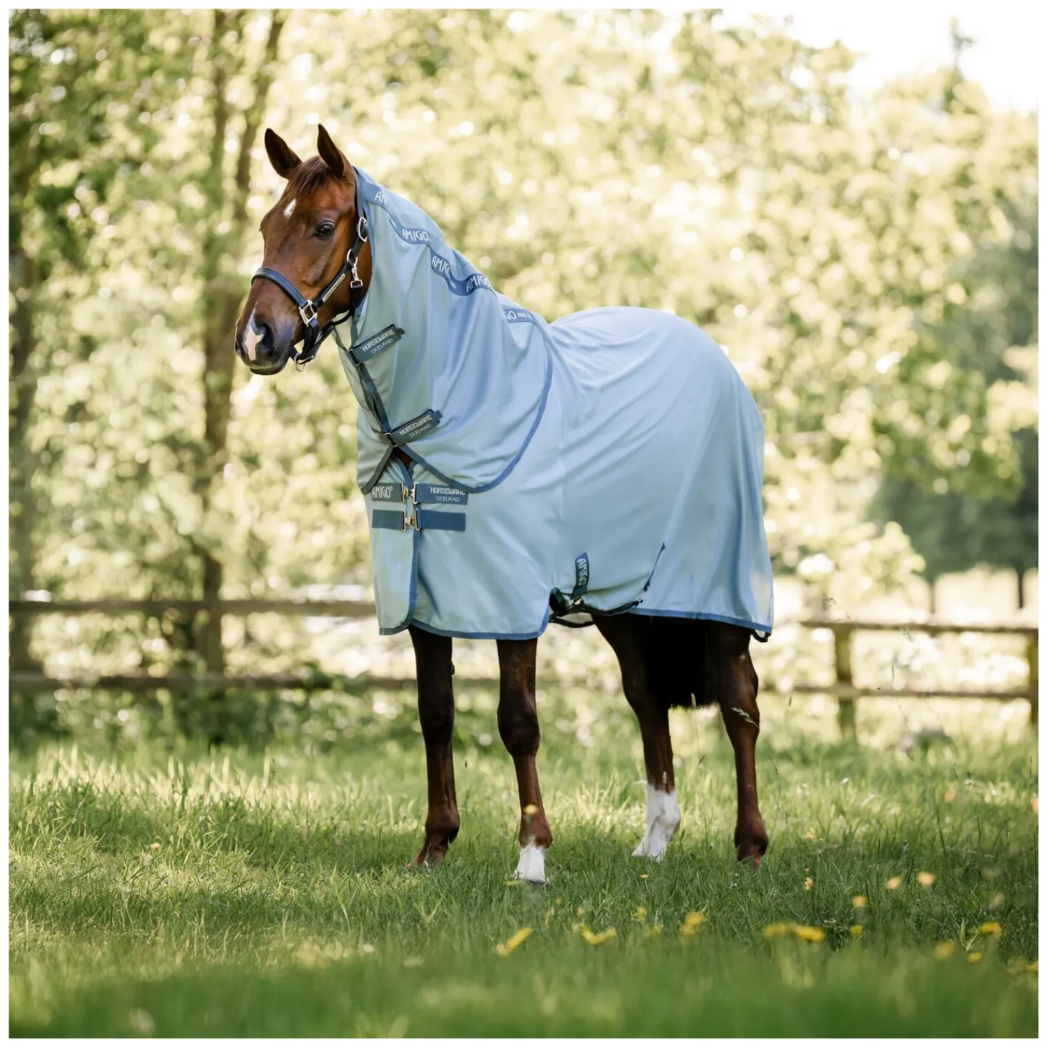 Horseware Fliegendecken|Pferdedecken<Fliegendecke AMIGO Bug Rug