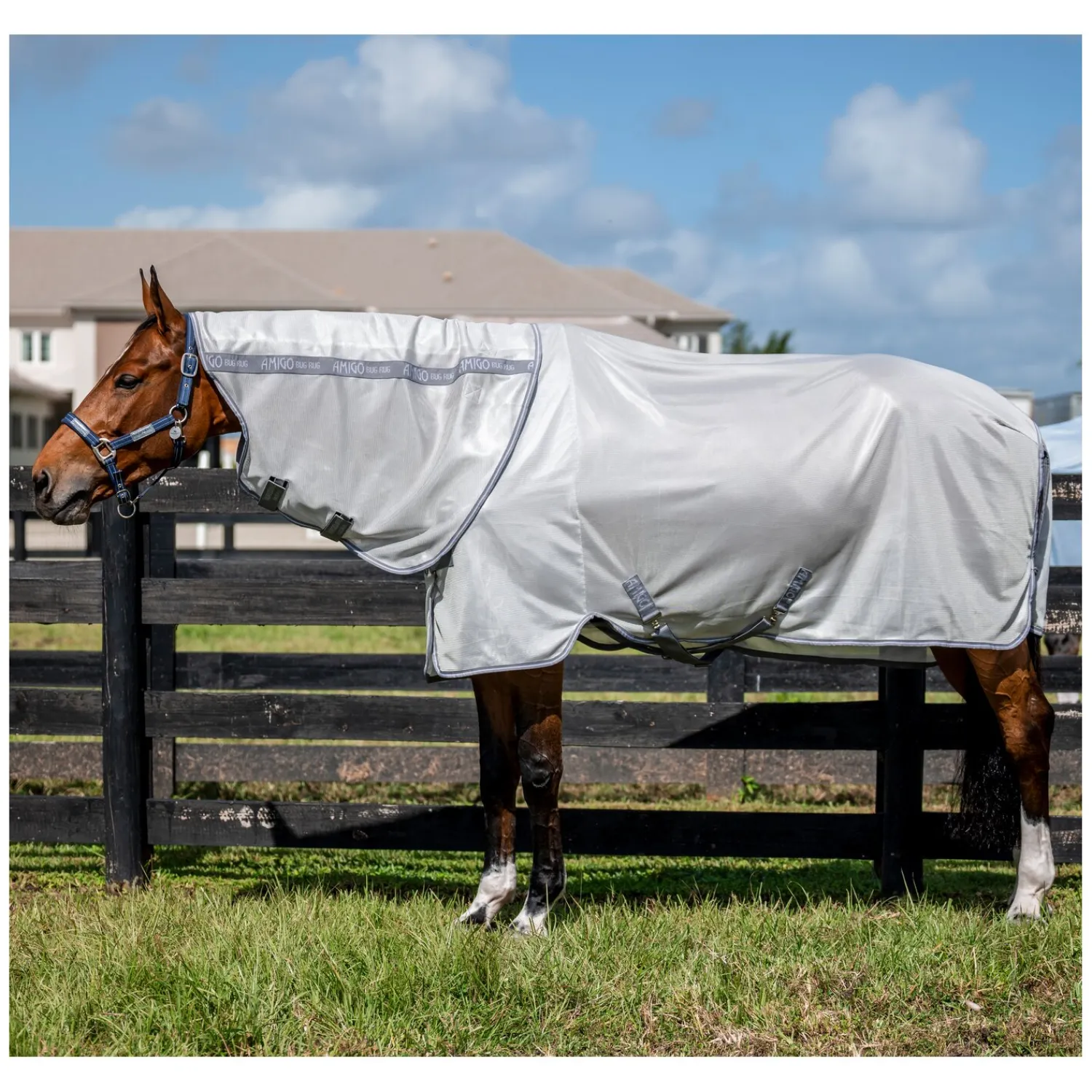 Horseware Fliegendecken|Pferdedecken<Fliegendecke Amigo XL Bug Rug