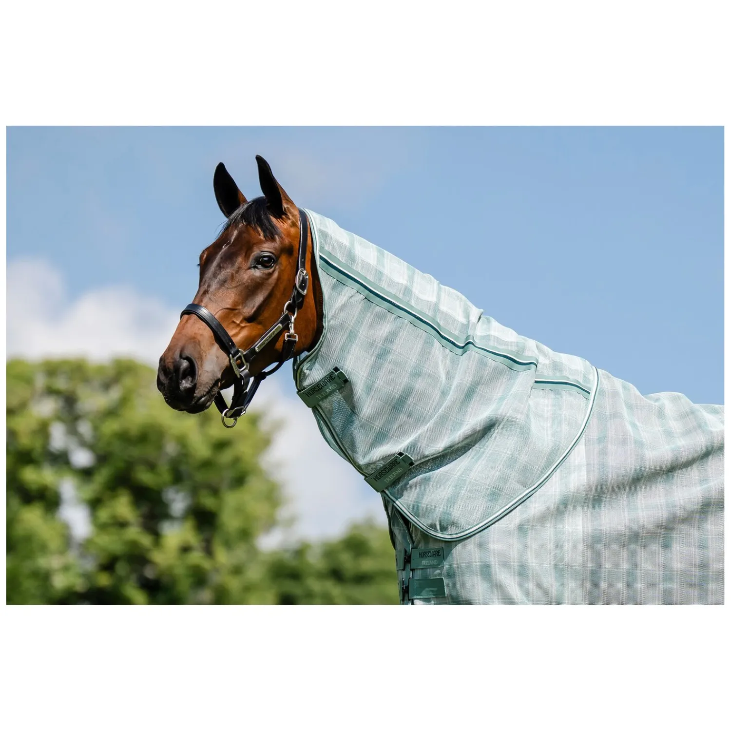Horseware Fliegendecken|Pferdedecken<Fliegendecke Newmarket Plus