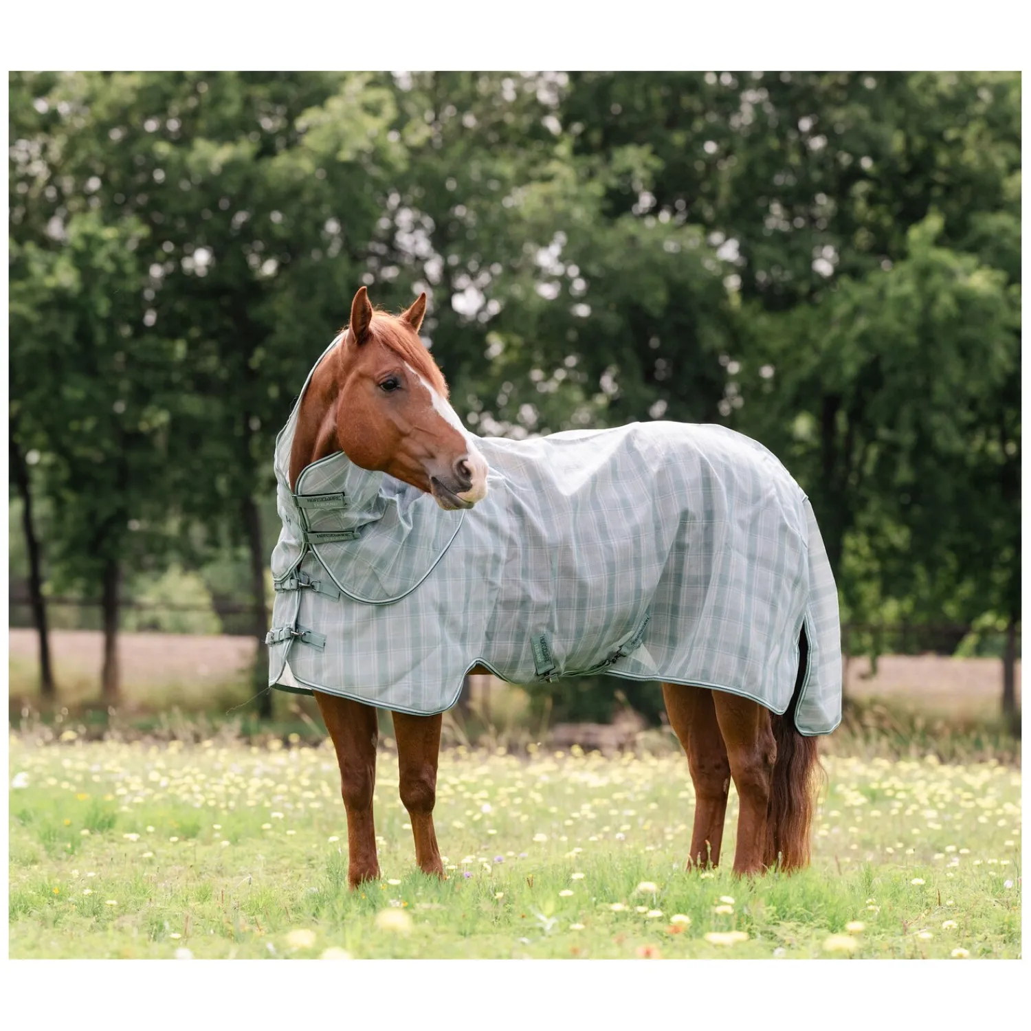 Horseware Fliegendecken|Pferdedecken<Fliegendecke Newmarket Quarter Plus