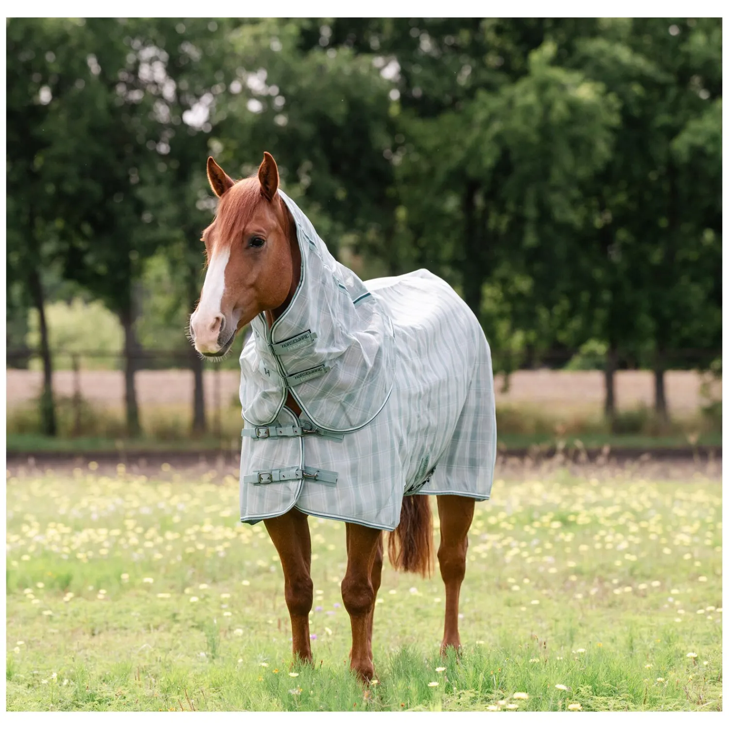 Horseware Fliegendecken|Pferdedecken<Fliegendecke Newmarket Quarter Plus