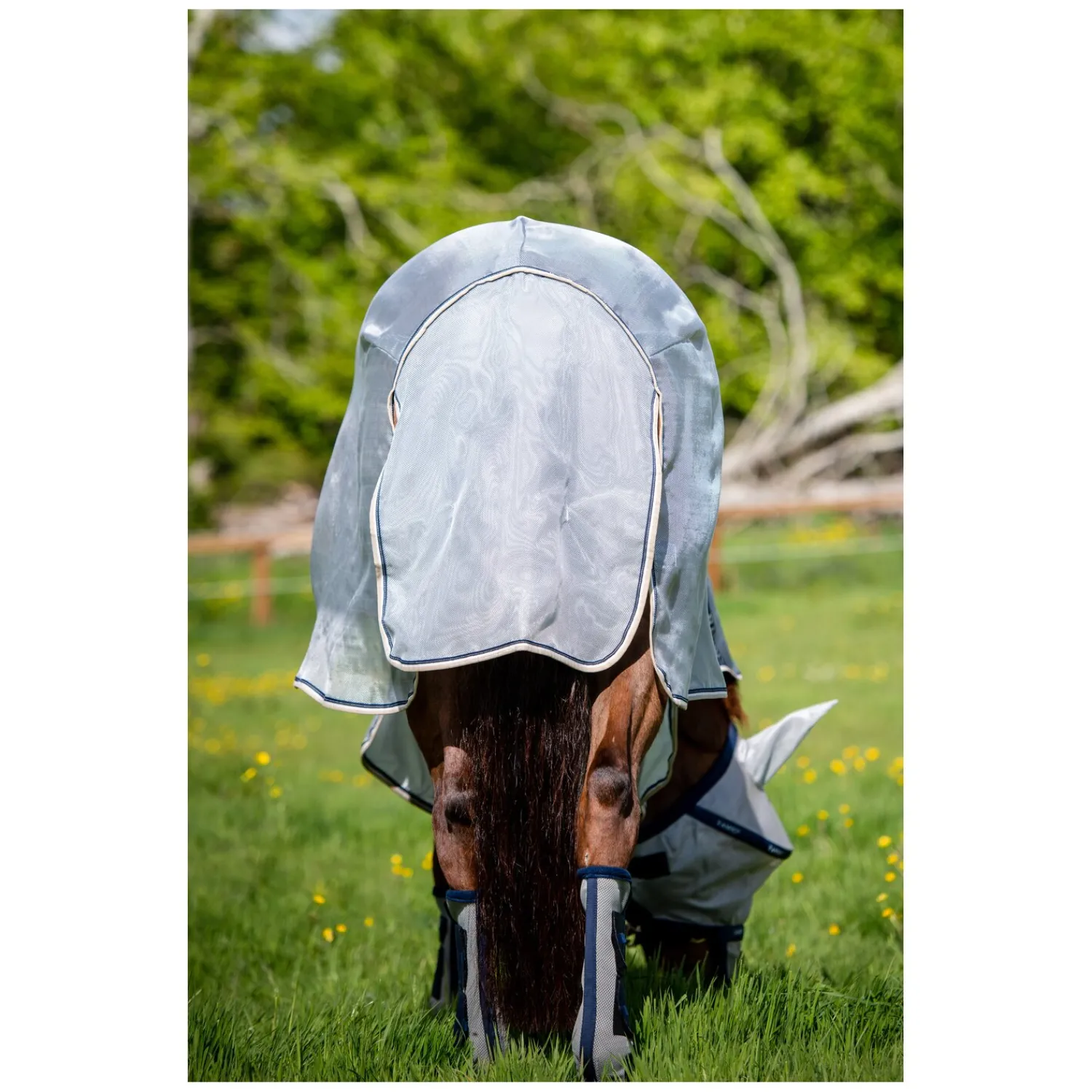 Horseware Fliegendecken|Pferdedecken<Fliegendecke Rambo Protector Plus
