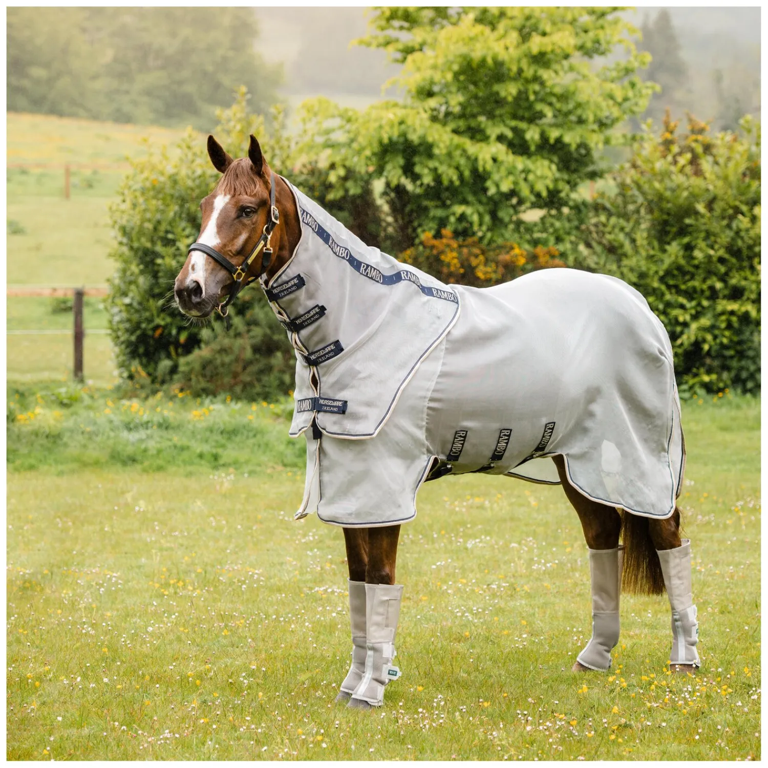 Horseware Fliegendecken|Pferdedecken<Fliegendecke Rambo Protector Plus