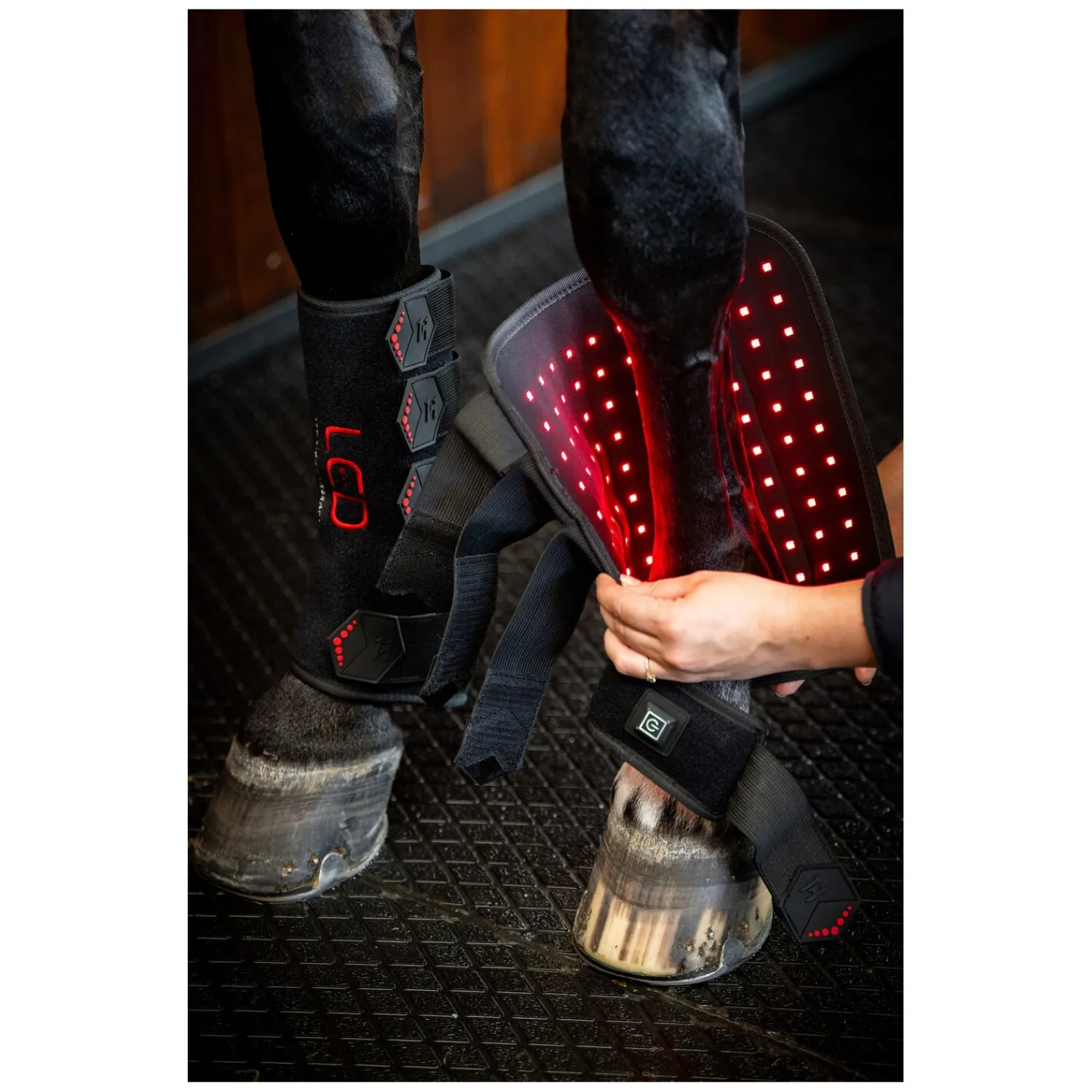 Horseware Gamaschen|Therapie<Gamasche LED Red Light Therapy Leg Wraps, für die Vorderbeine