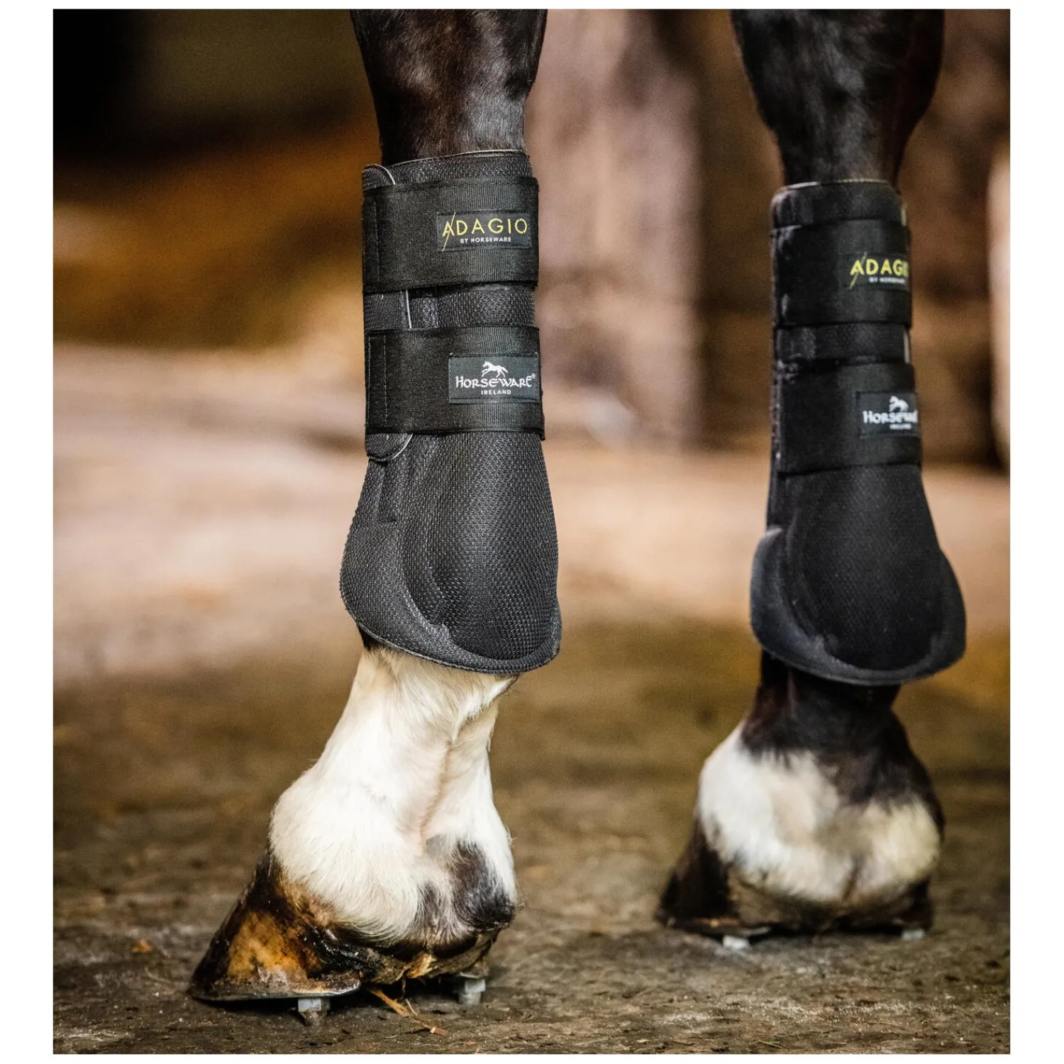 Loesdau Gamaschen<HORSEWARE Gamaschen Adagio Boots
