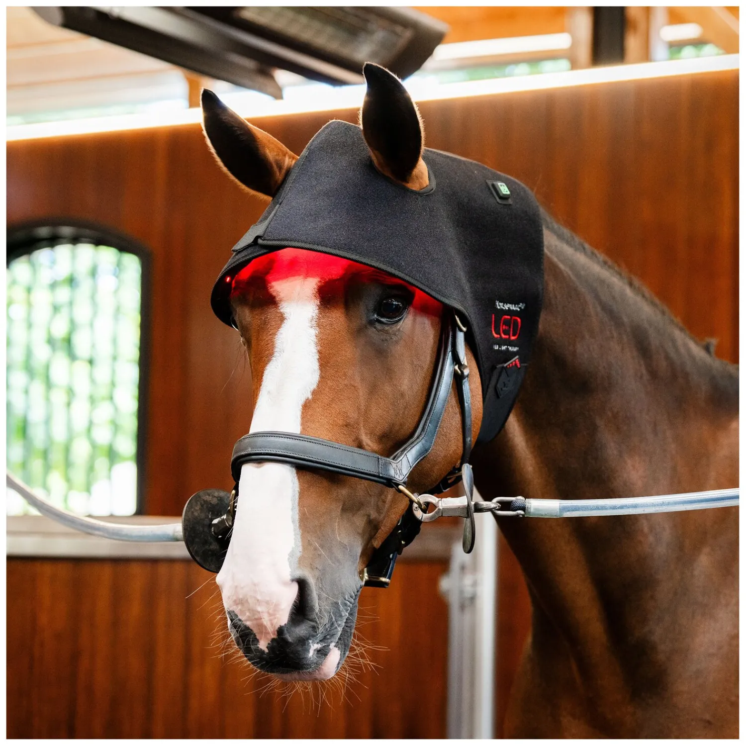 Loesdau Therapie<HORSEWARE Genickhaube LED Red Light Therapy