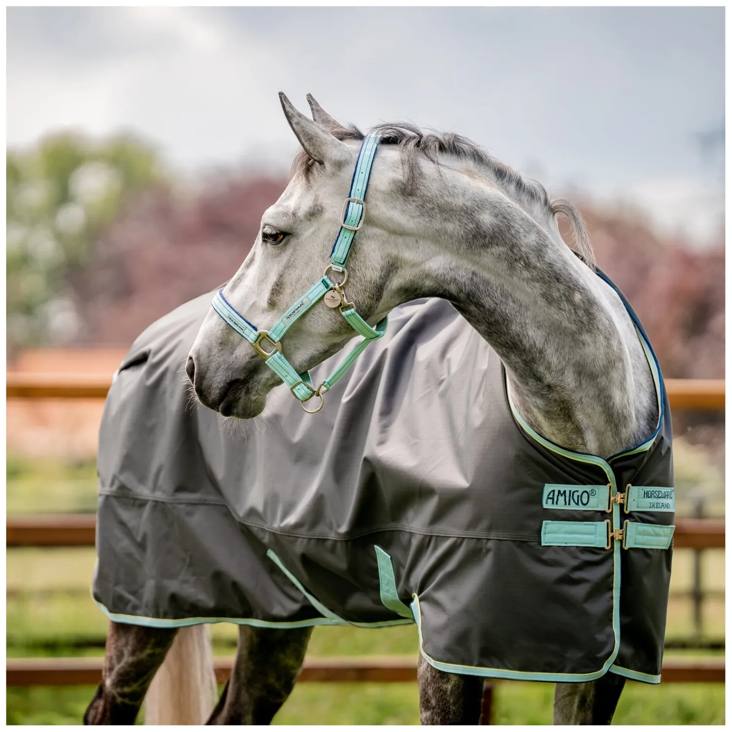 Horseware Halfter<Halfter Fieldsafe