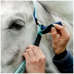 Horseware Halfter<Halfter Fieldsafe