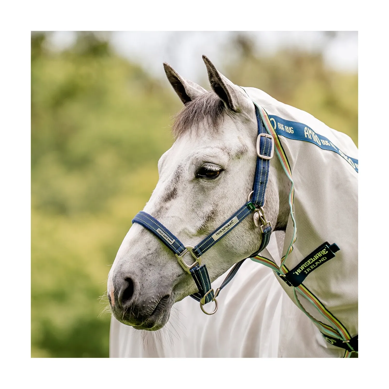 Horseware Halfter<Halfter Fieldsafe