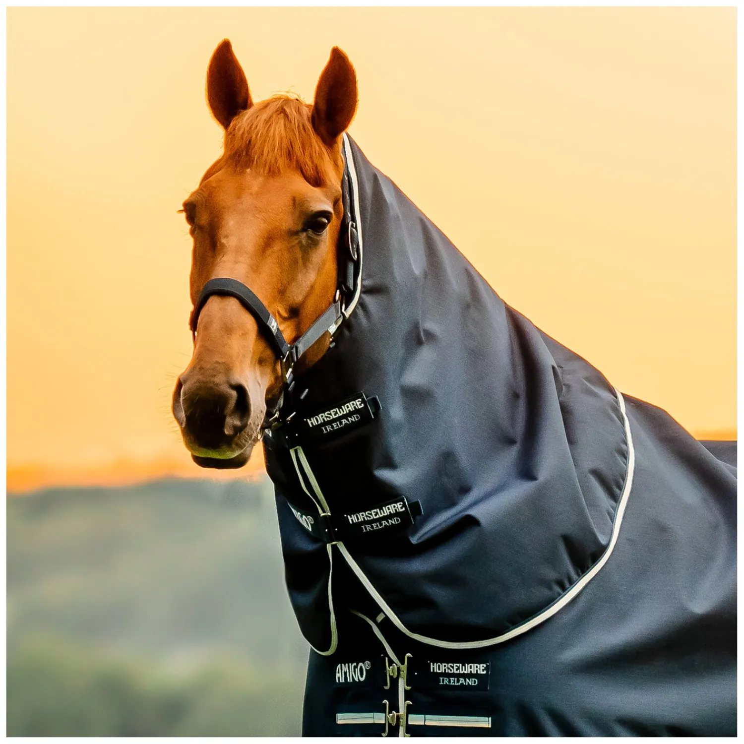 Horseware Deckenzubehör<Hatei AIGO Riptop 900
