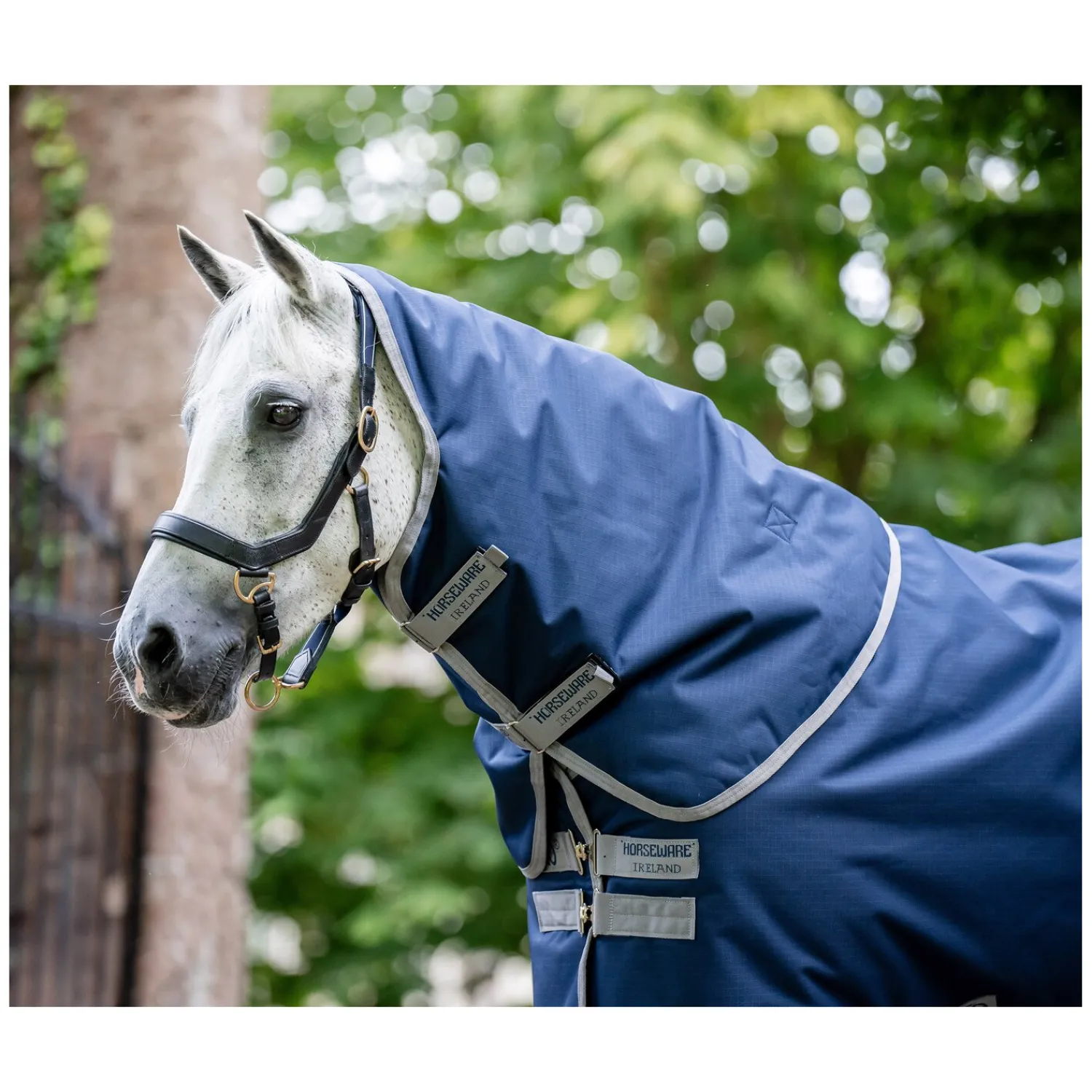 Horseware Deckenzubehör<Hatei AIGO Riptop 900, 150g