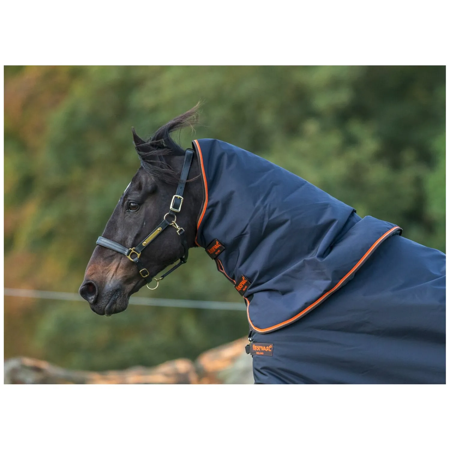 Horseware Deckenzubehör<Halteil RABO Original Lite